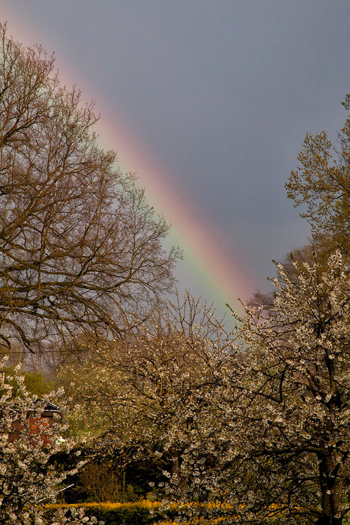 Sinningen - Regenbogen