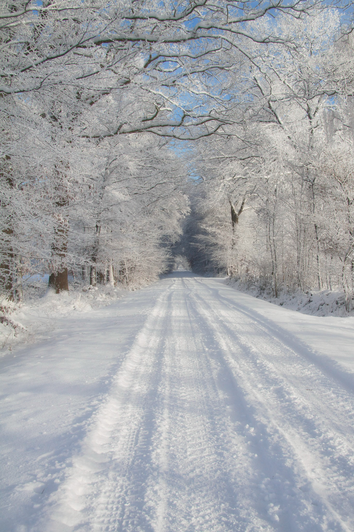 Sinningen - Schnee