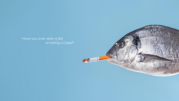 how would a fish smoke a cigarette David Colacicco