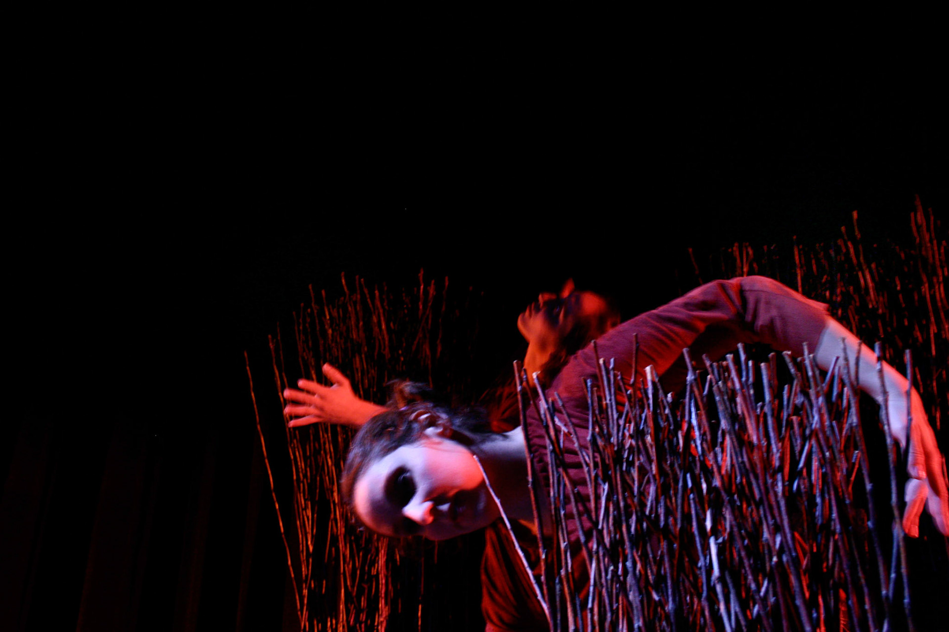 Ipswich Moving Company