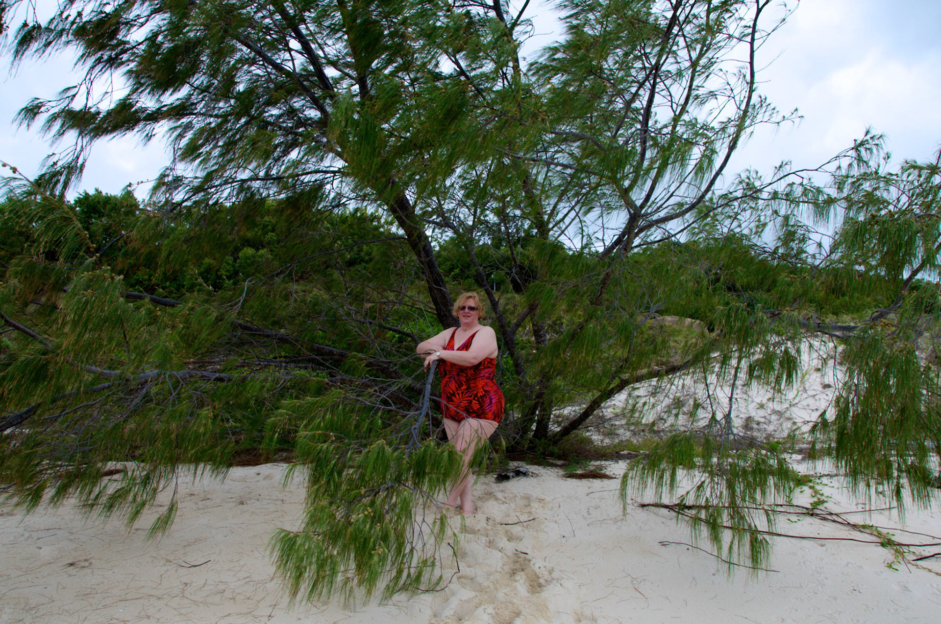 Lizard Island 2010