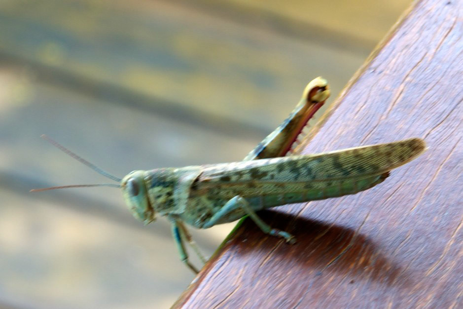 DSC_5014.jpg