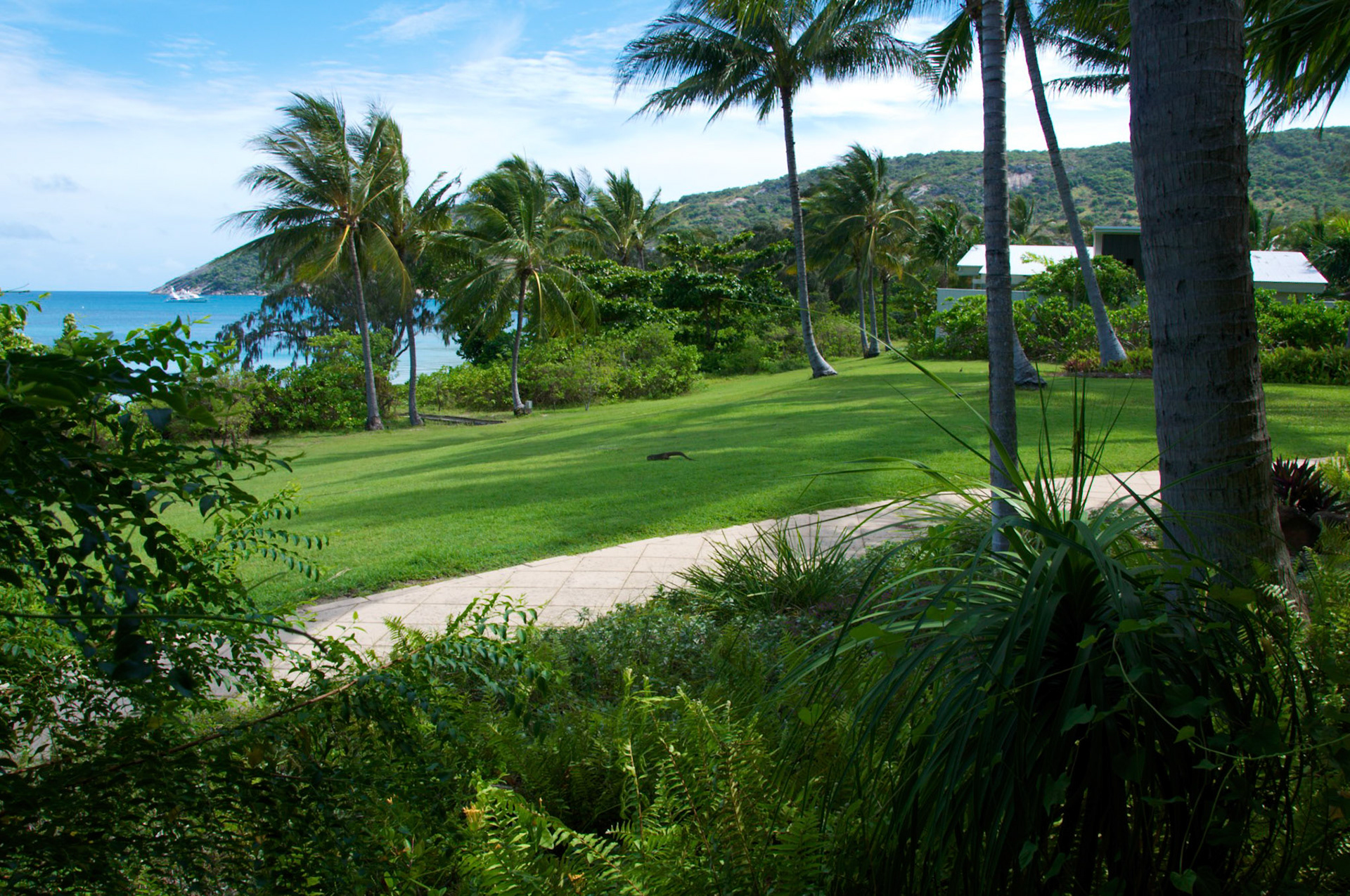 Lizard Island 2010