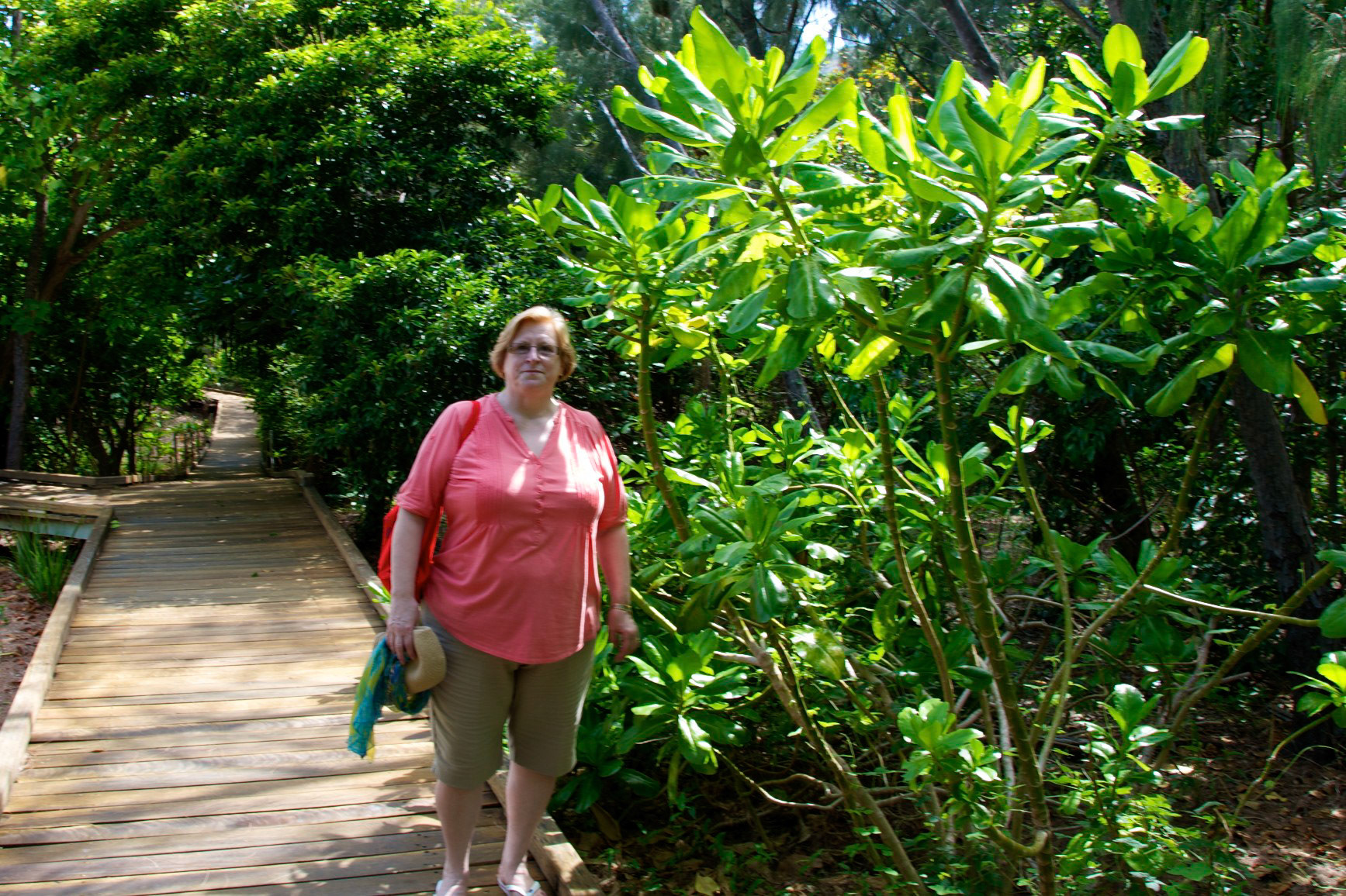 Lizard Island 2010
