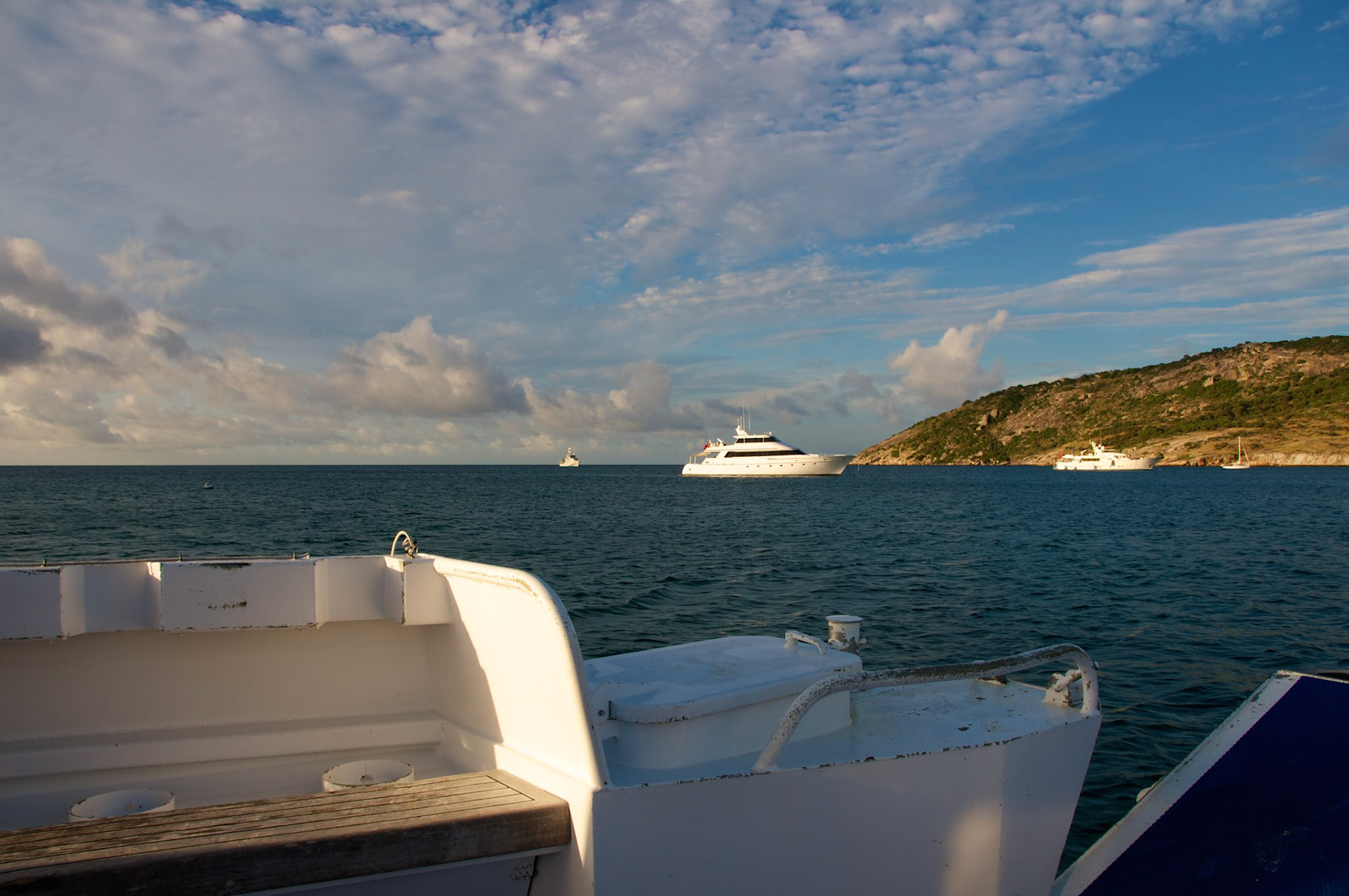 DSC_5110.jpg