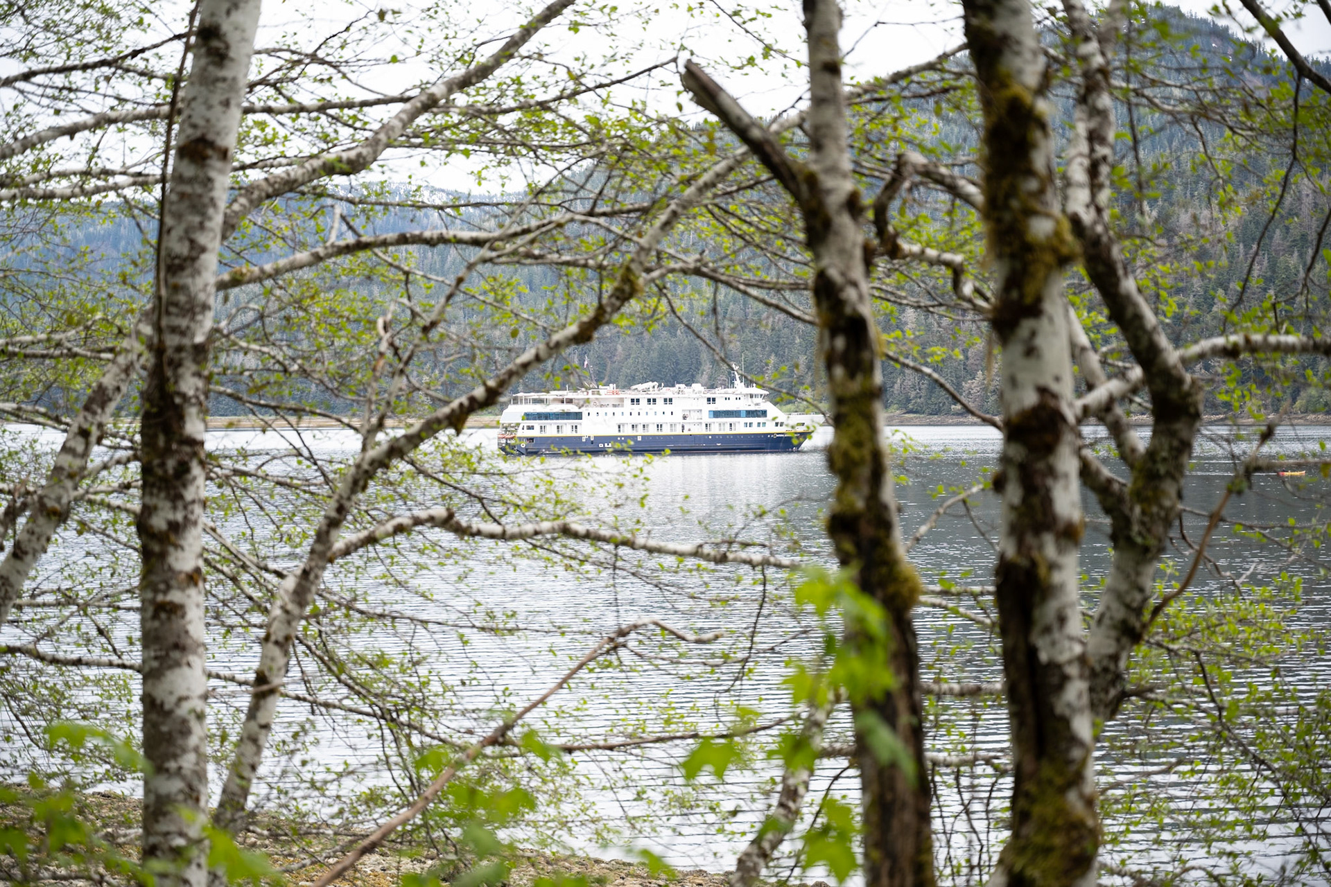 The Nat Geo "Quest" in Sitkoh Bay