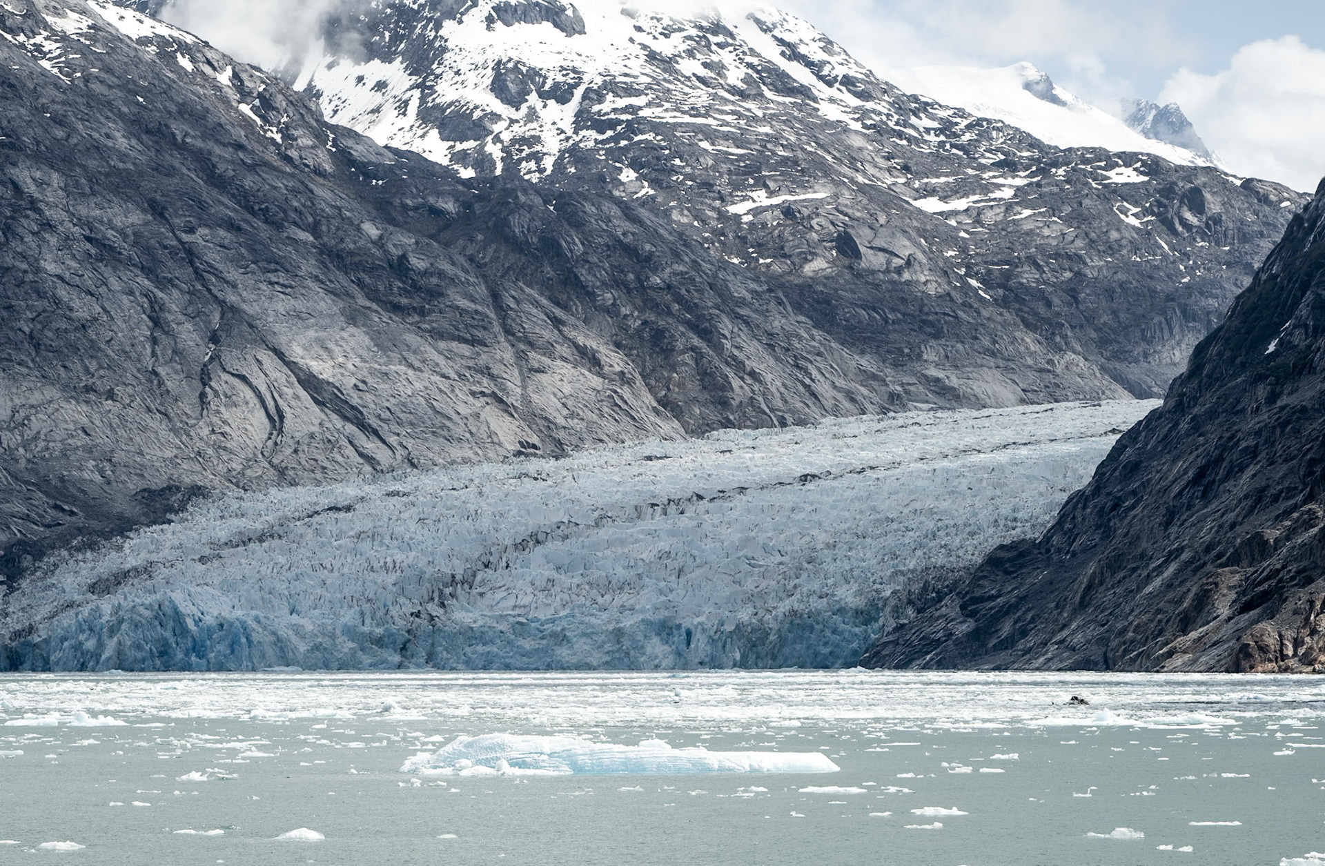 The Endicott Arm Glacier