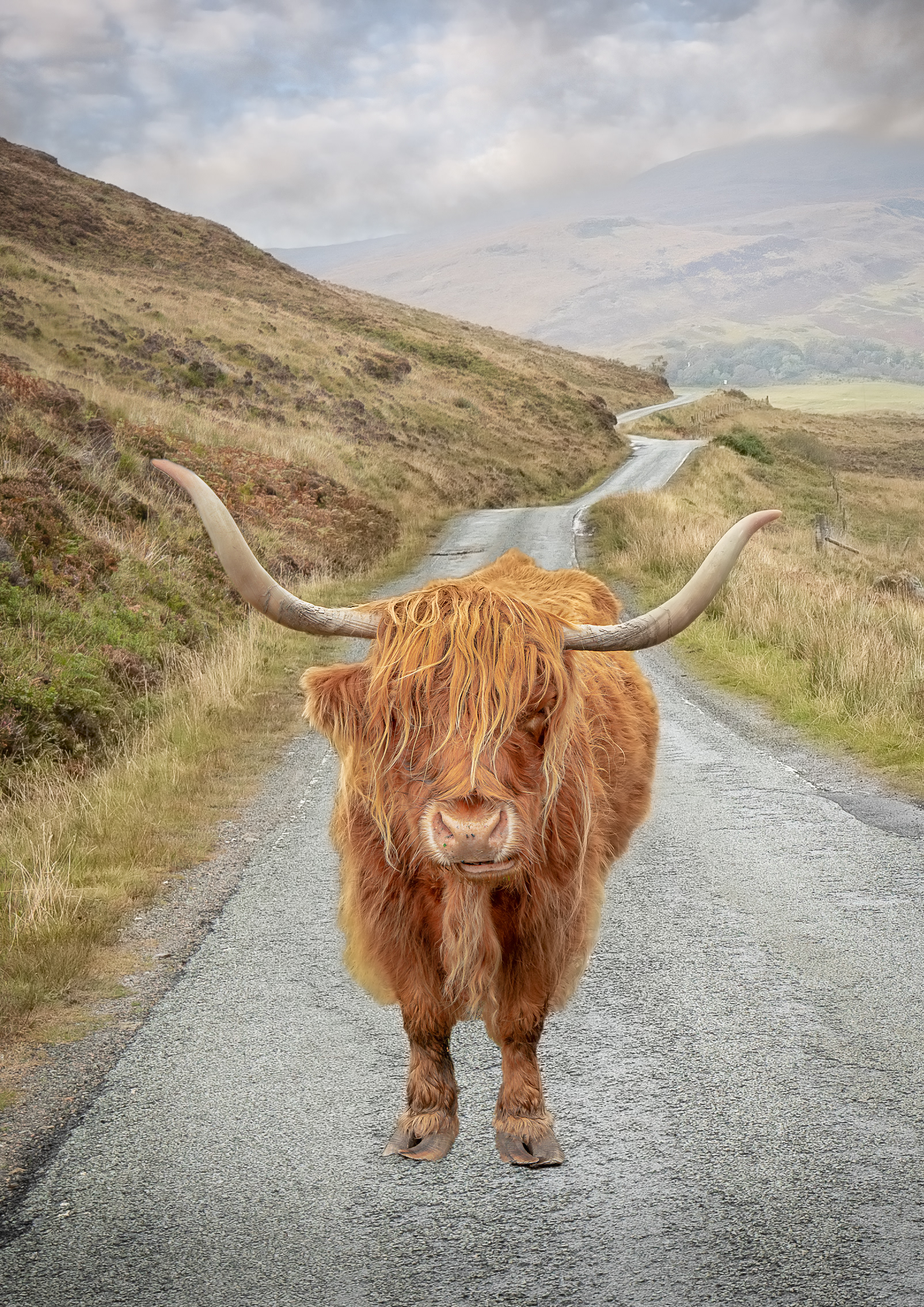 Highland 5