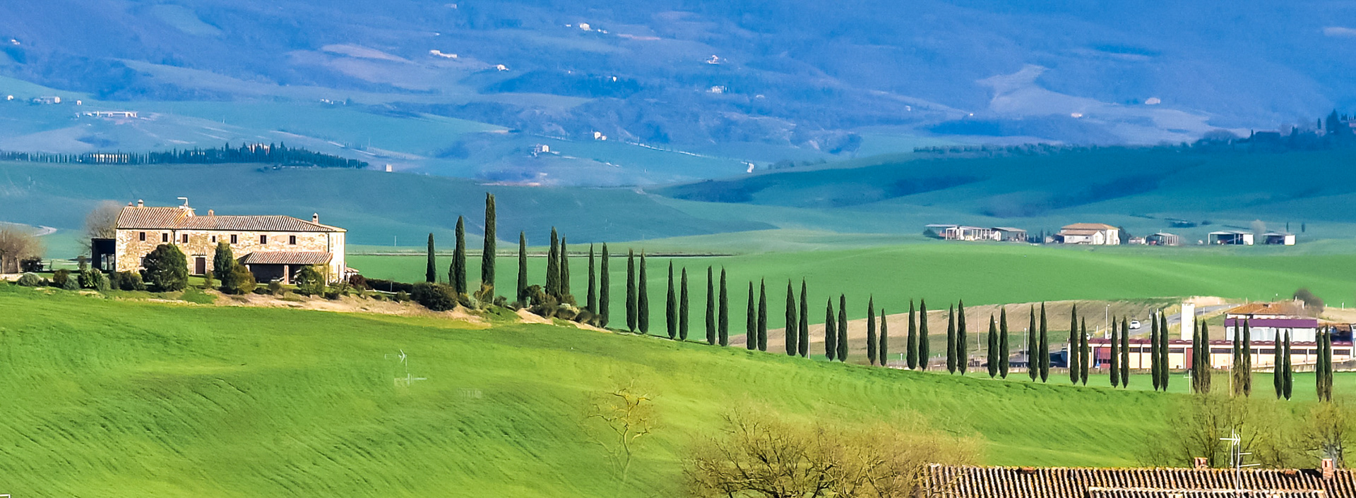 Cortona