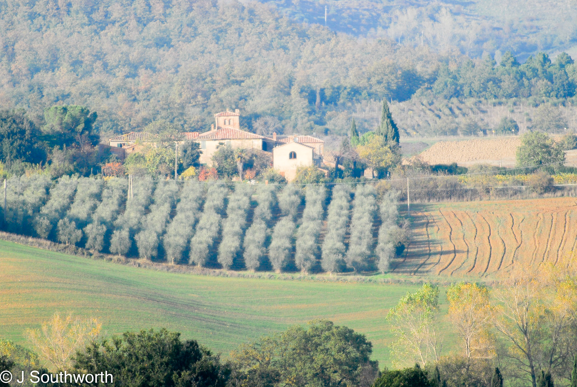 Multepulciano