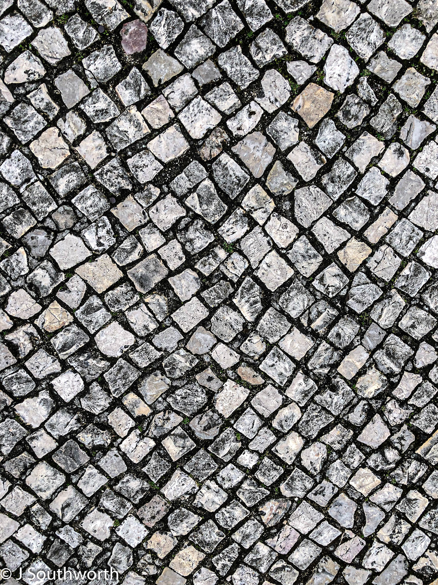 Lisbon 2019