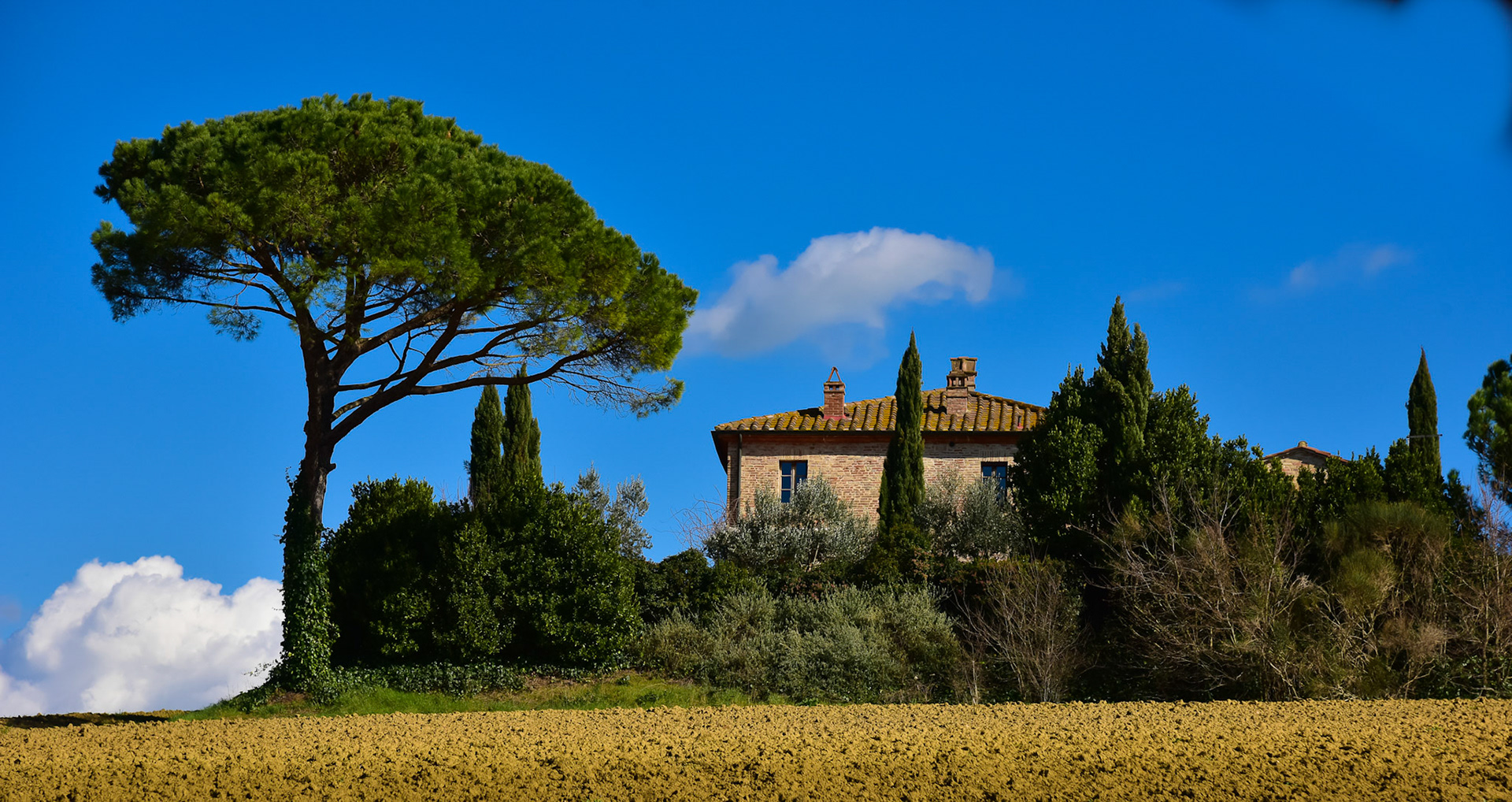 Cortona