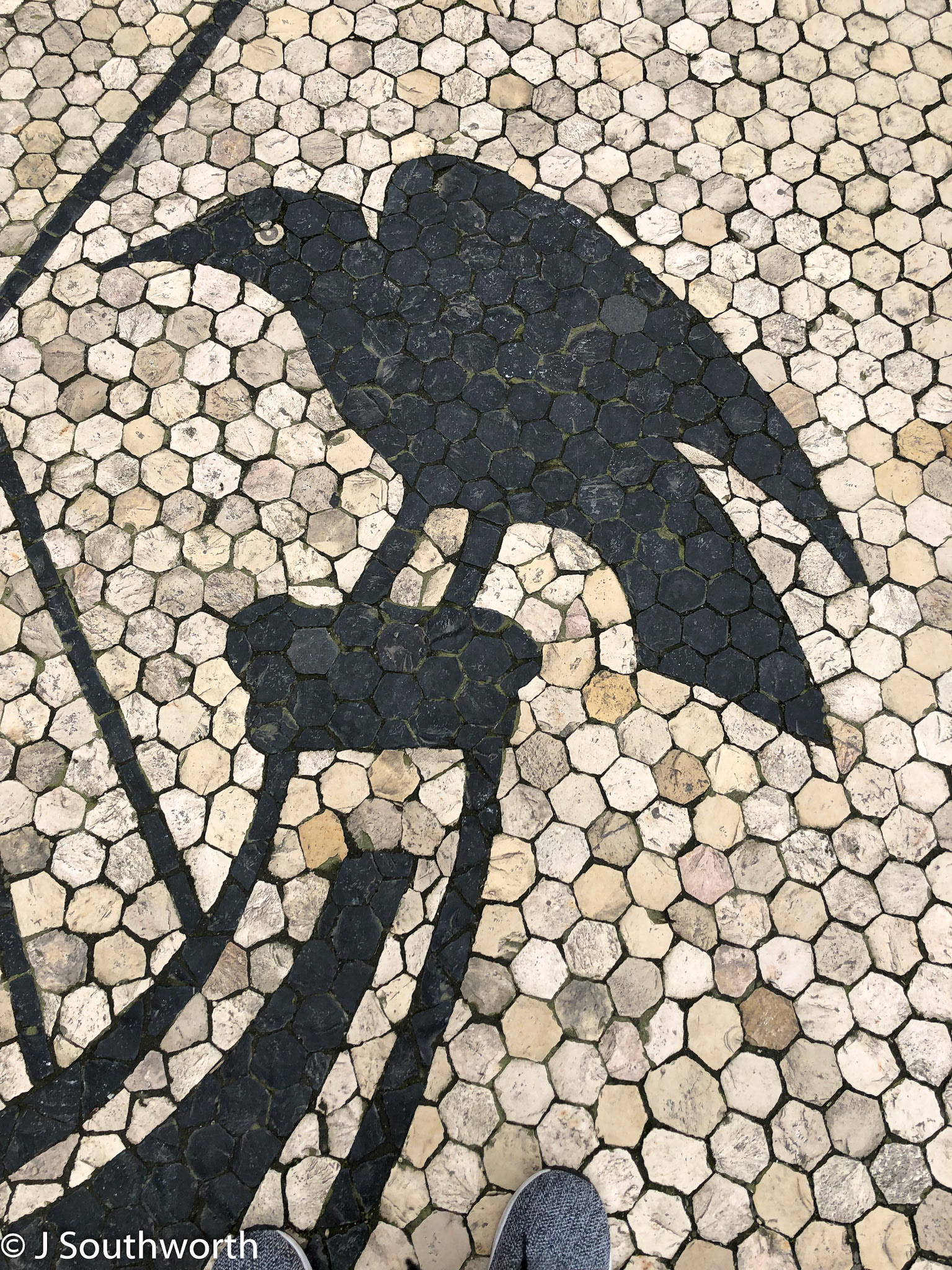 Lisbon 2019