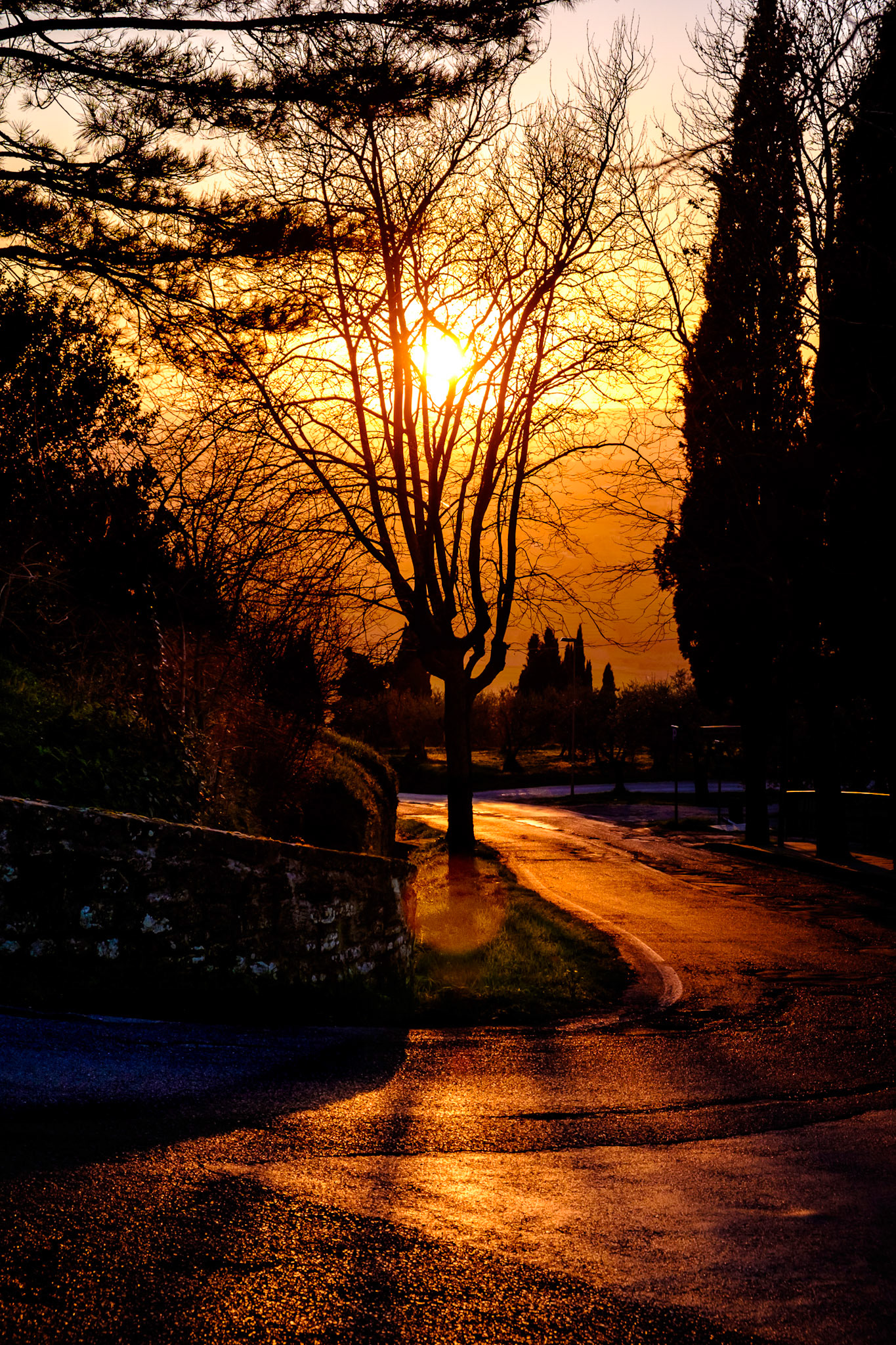 Cortona