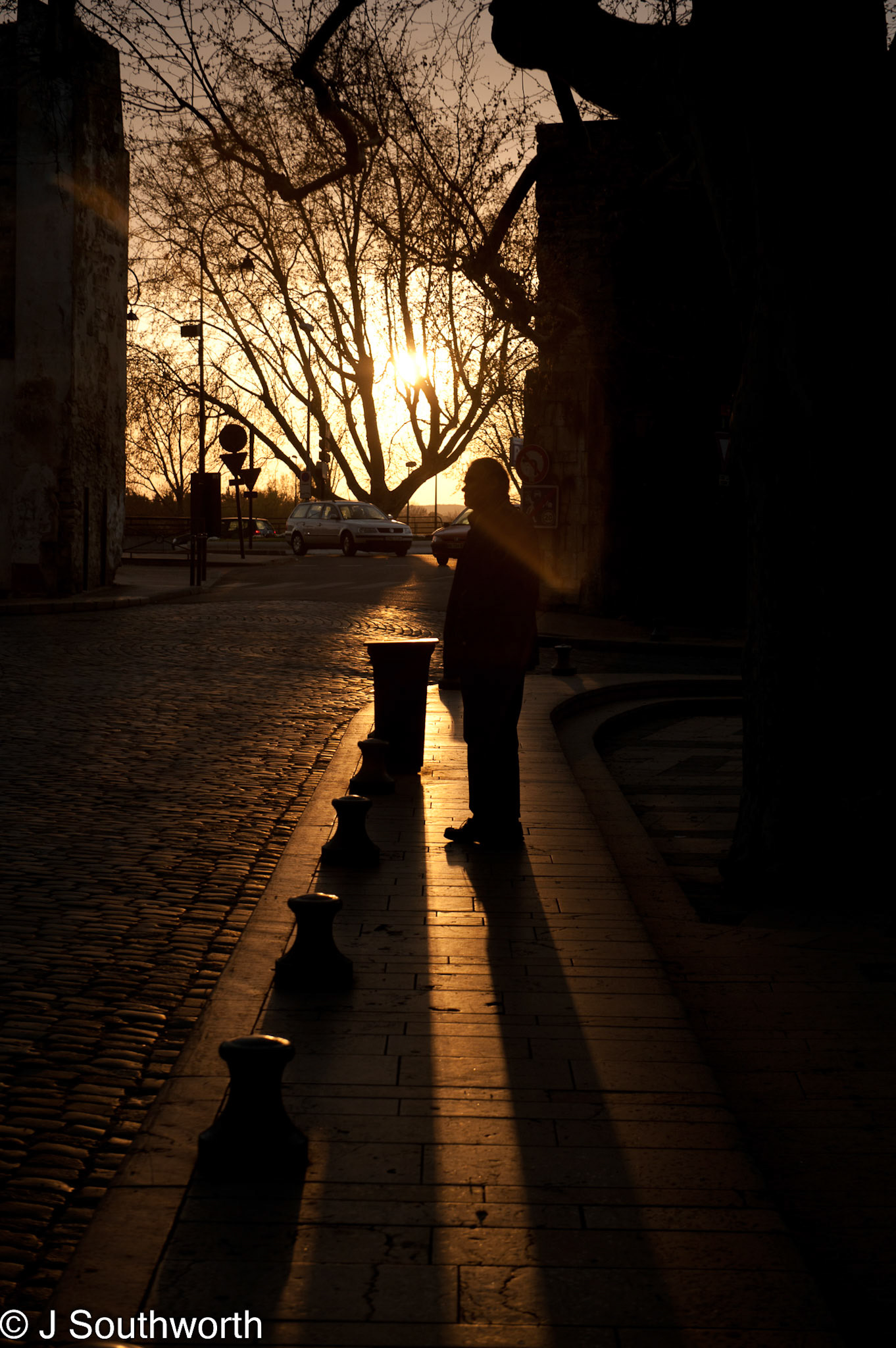 Avignon