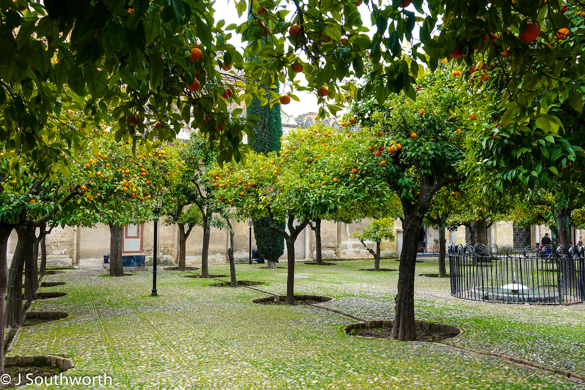 Cordoba