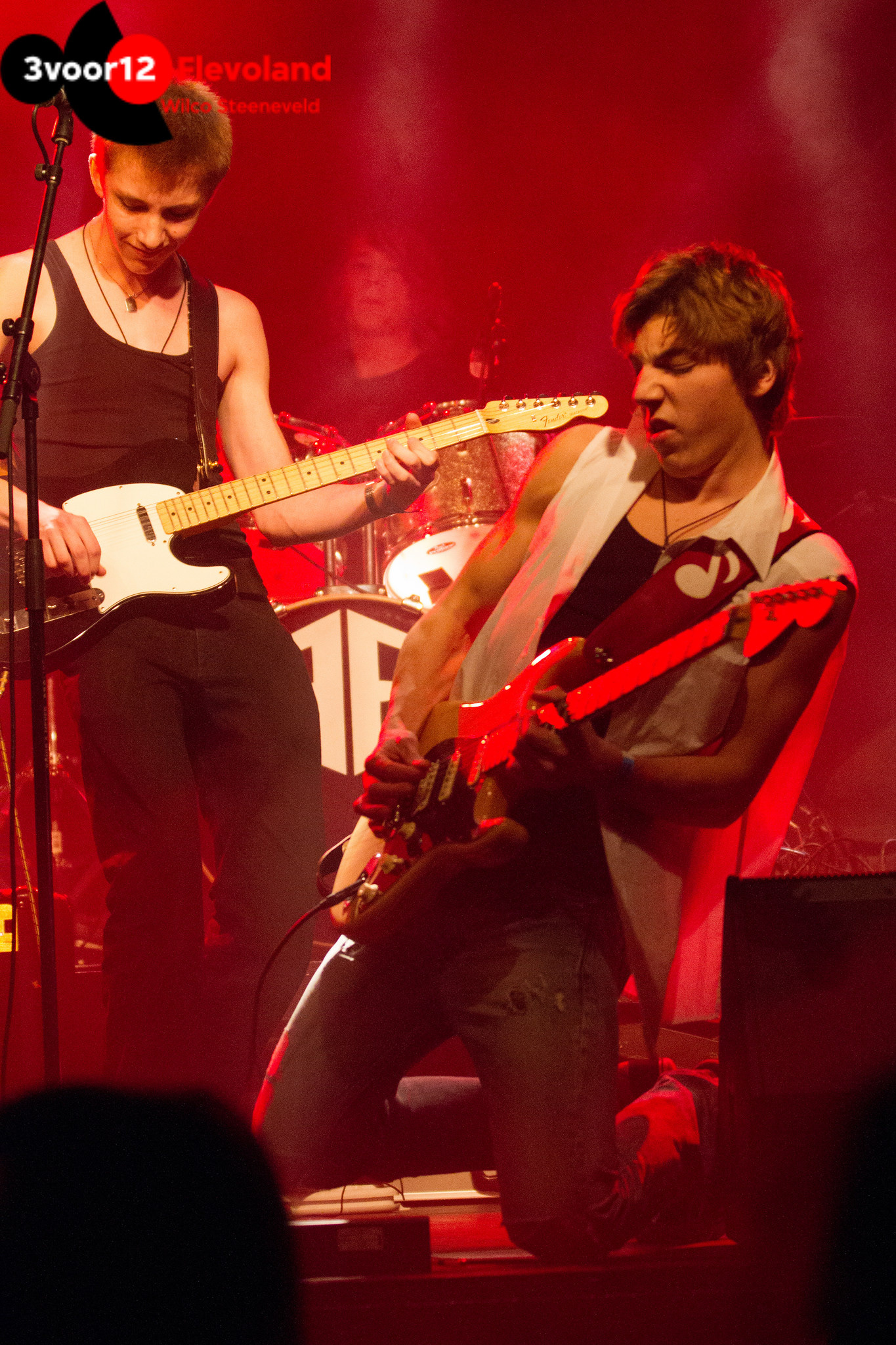 March of the Penguins, De Meester, Almere , The Netherlands