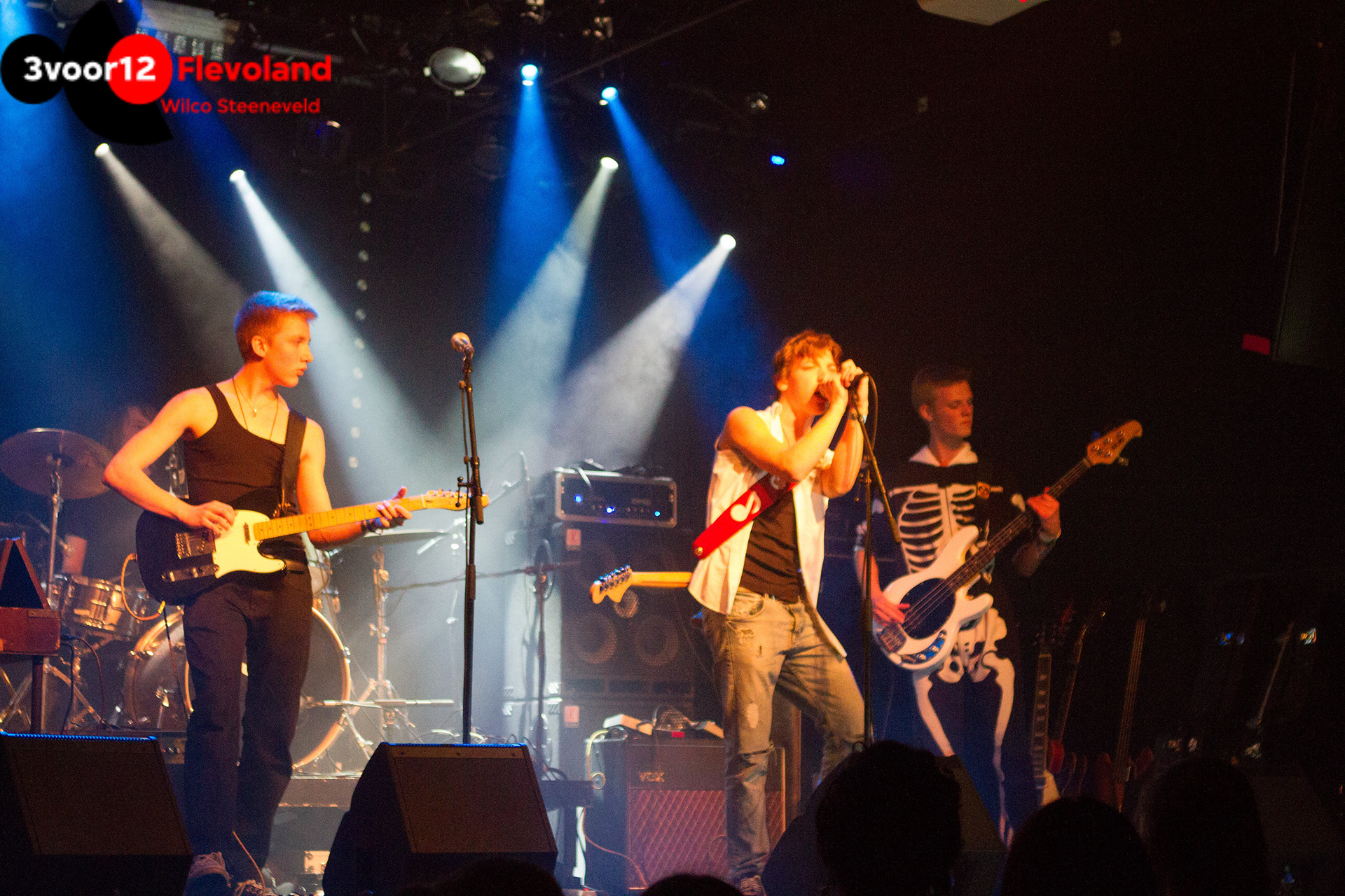 March of the Penguins, De Meester, Almere , The Netherlands