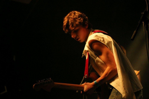 March of the Penguins, De Meester, Almere , The Netherlands