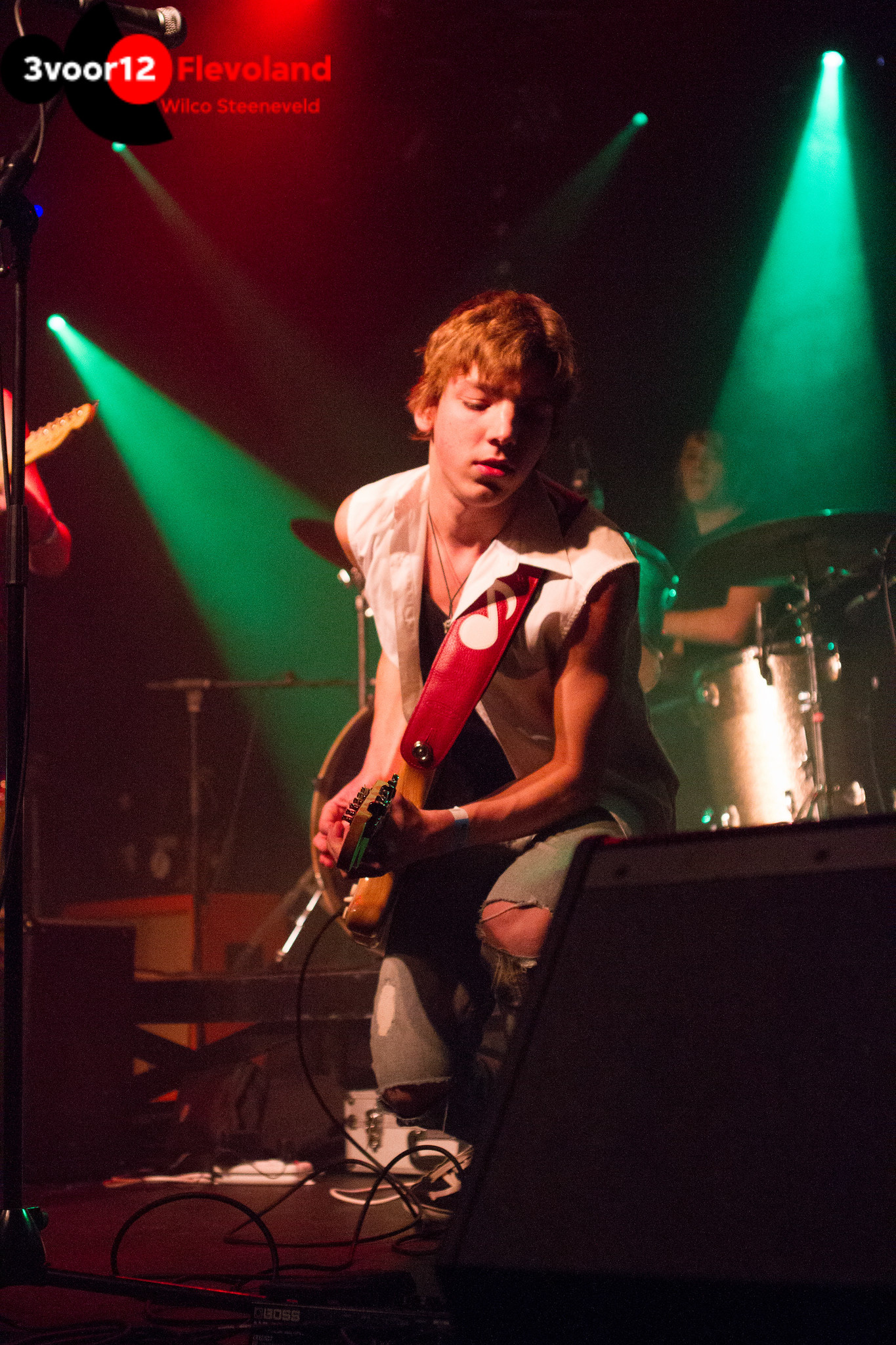 March of the Penguins, De Meester, Almere , The Netherlands