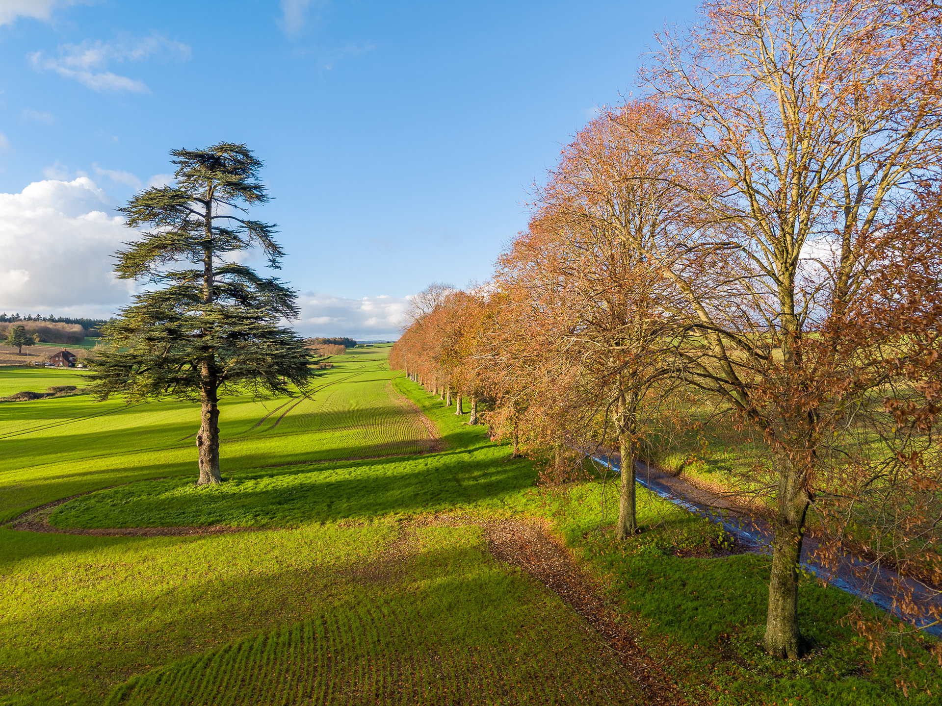 Moor Crichel - Dorset