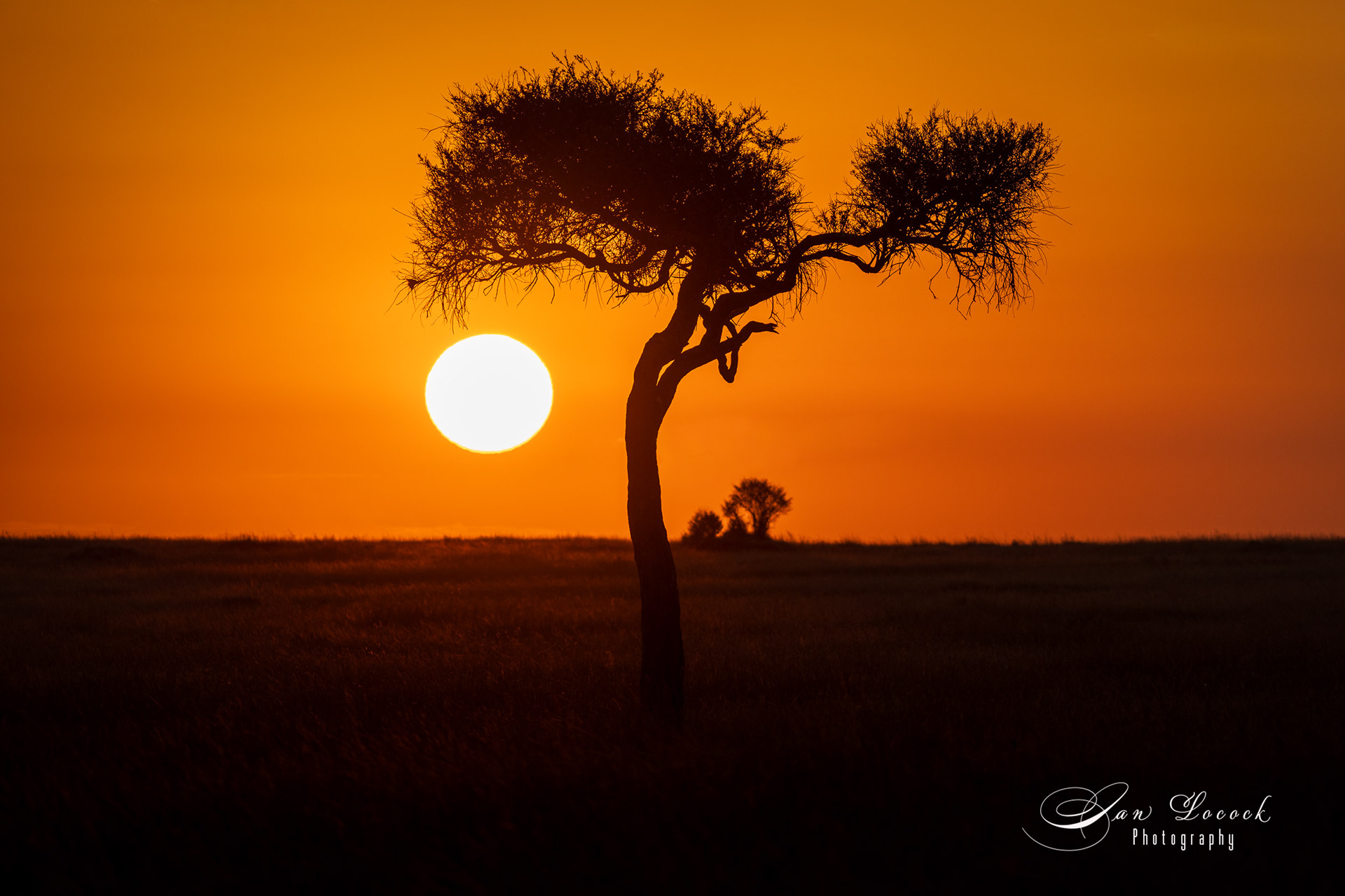 Sunrise - Maasai Mara, Kenya