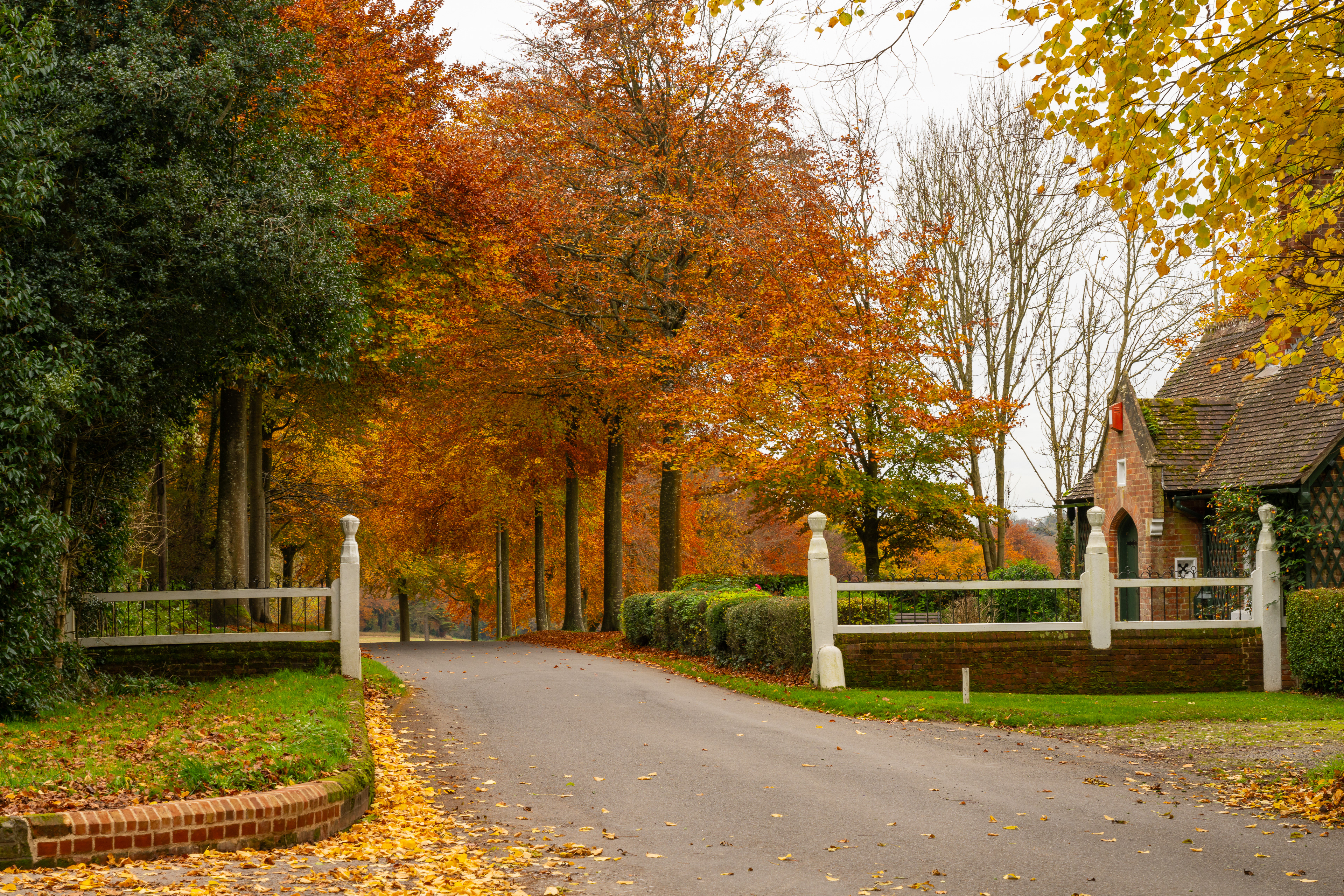 Gateway to the Avenue - Moor Crichel, Dorset