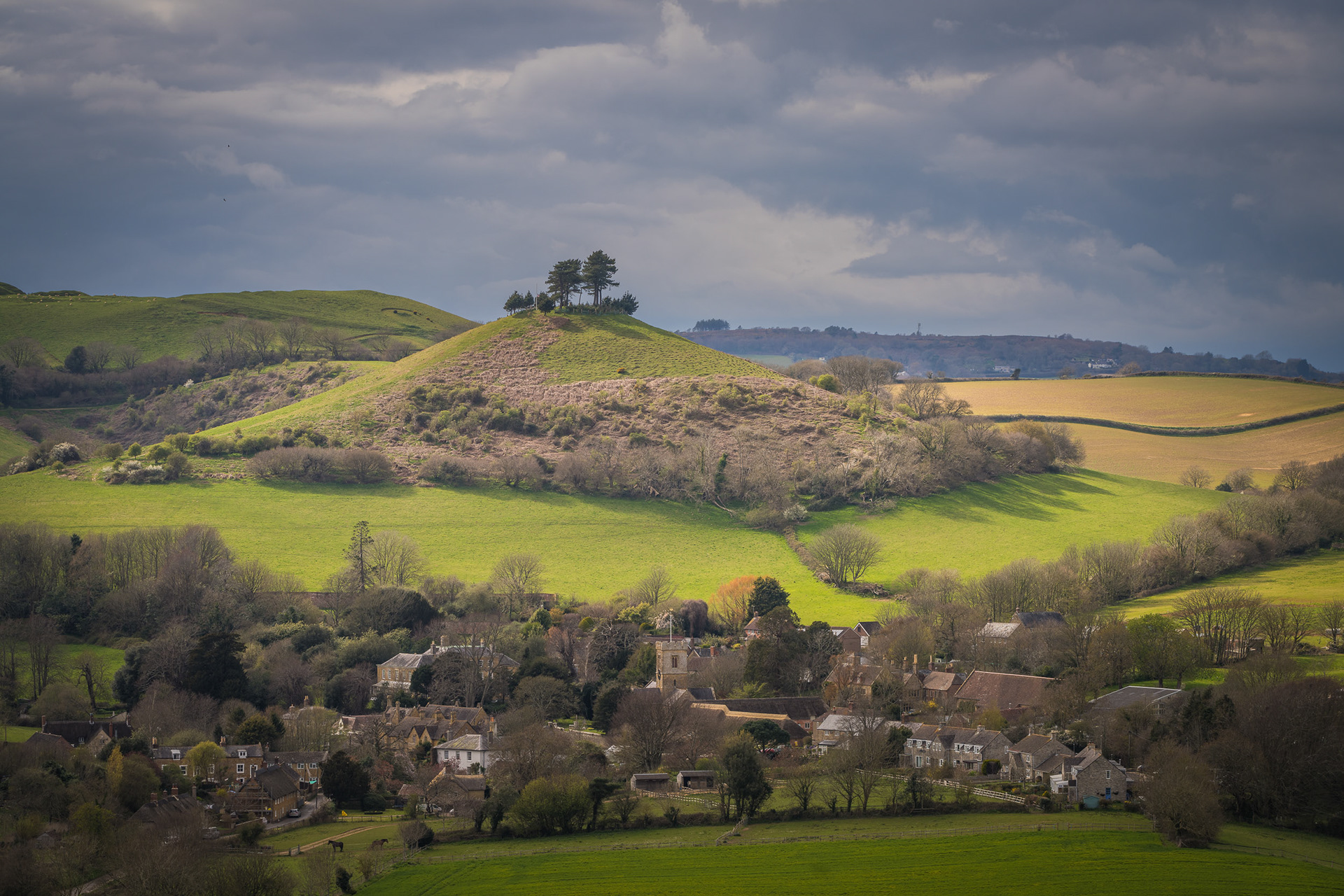 Colmer's Hill - Symondsbury, Dorset