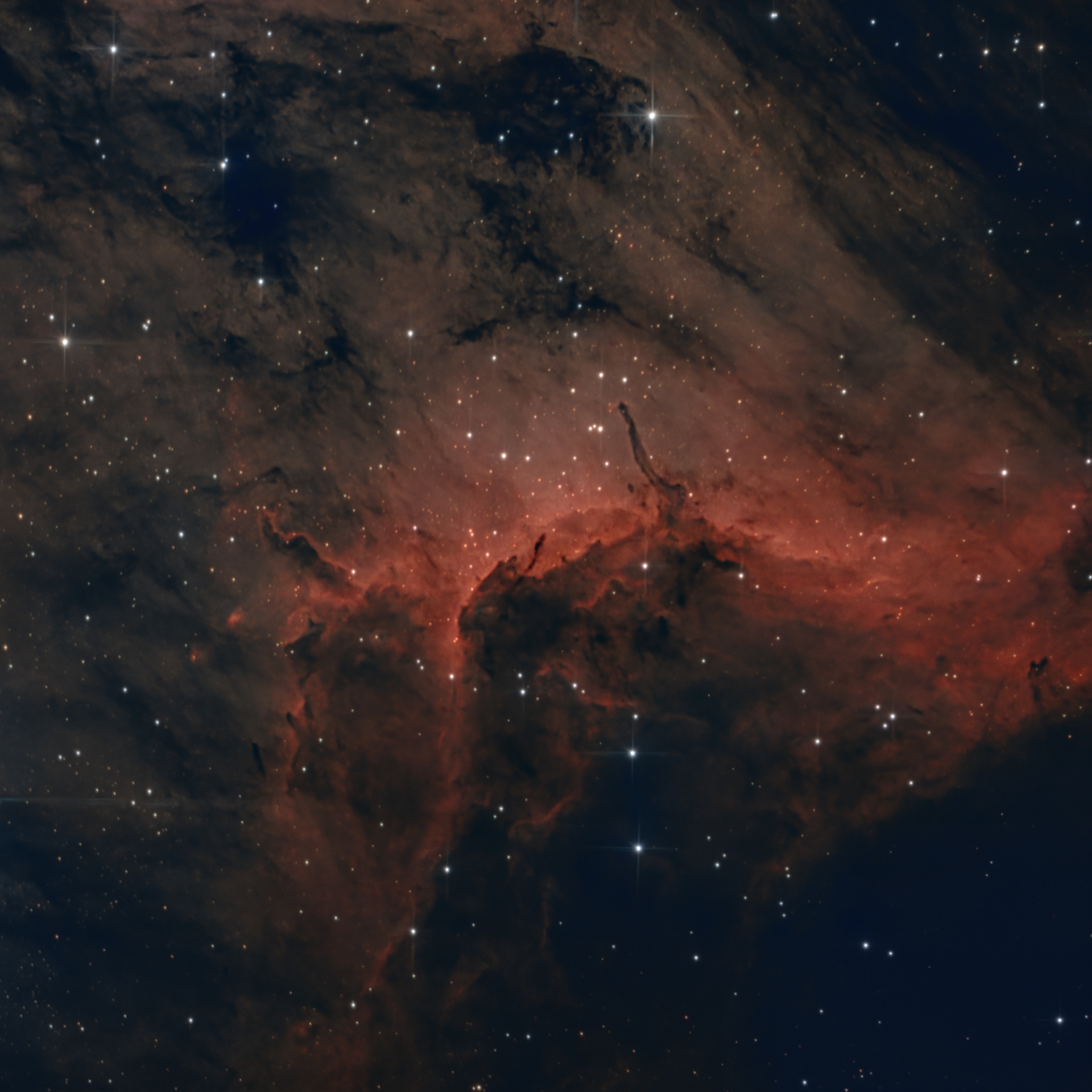 IC5070 - Nebulosa pellicano