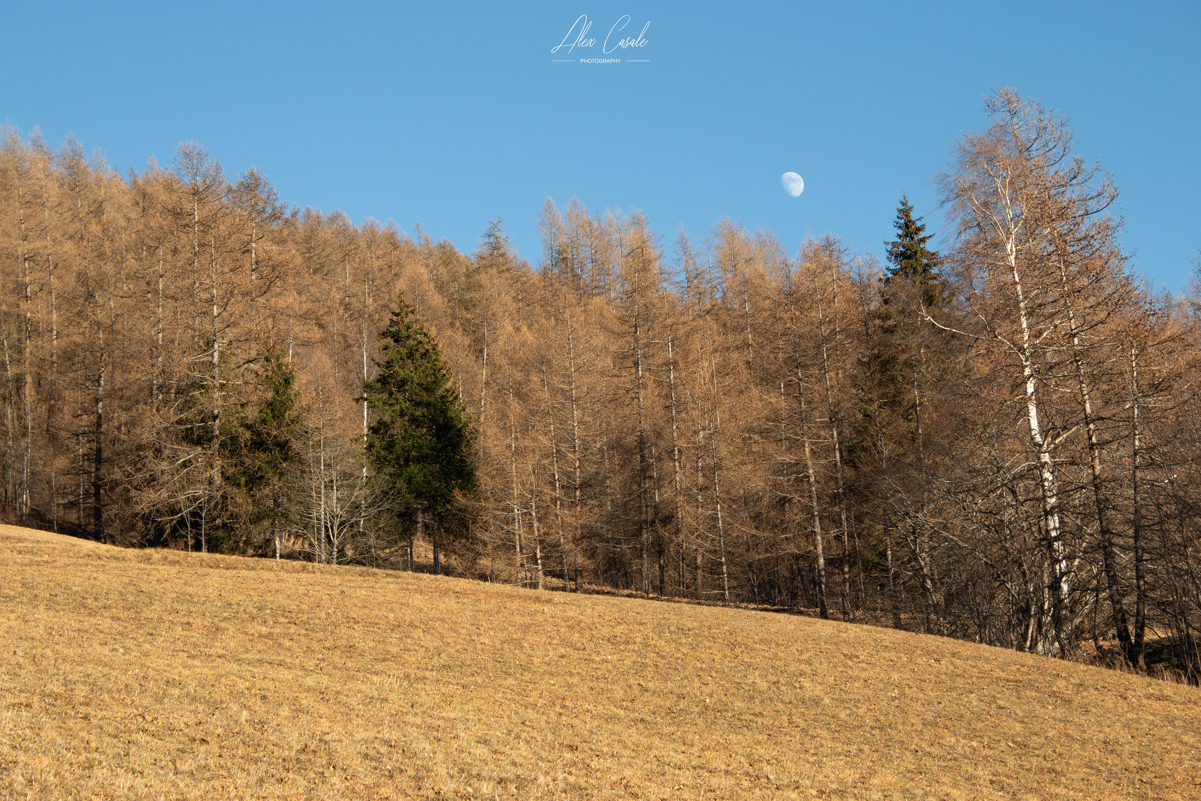 L'inverno non arriva