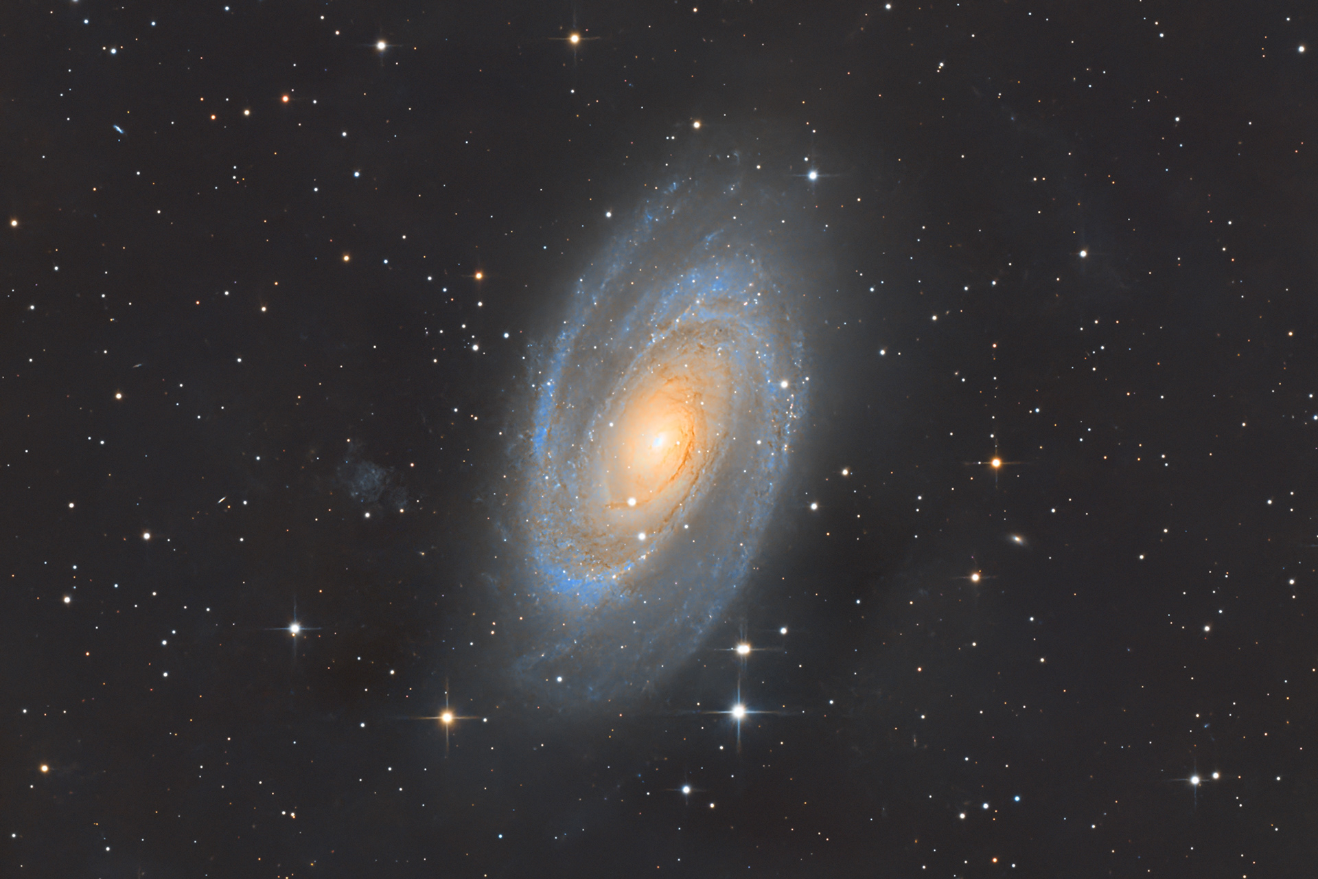 M81 - Galassia di Bode