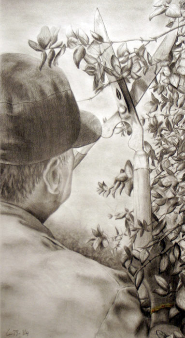 Gardner, Graphite & Charcoal 13.5x24"