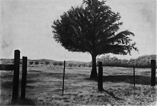 Landscape Mojave Narrows, Charcoal, 8”x12”