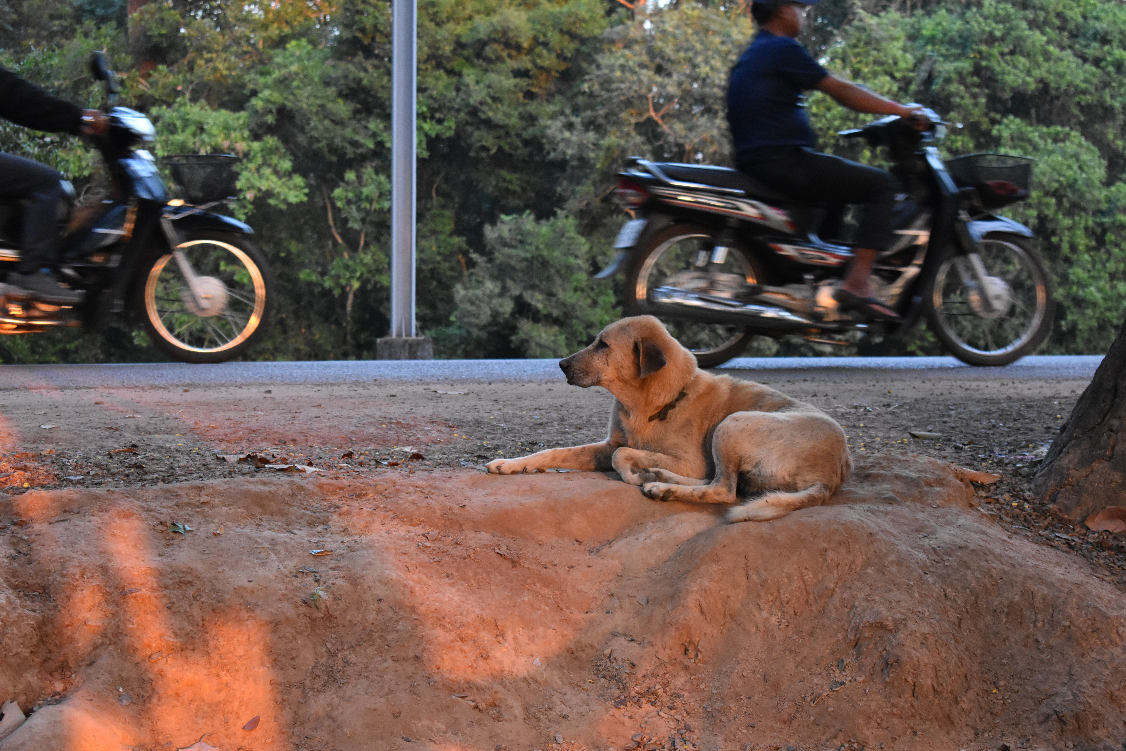 Angkor, Cambodia / Photo by me