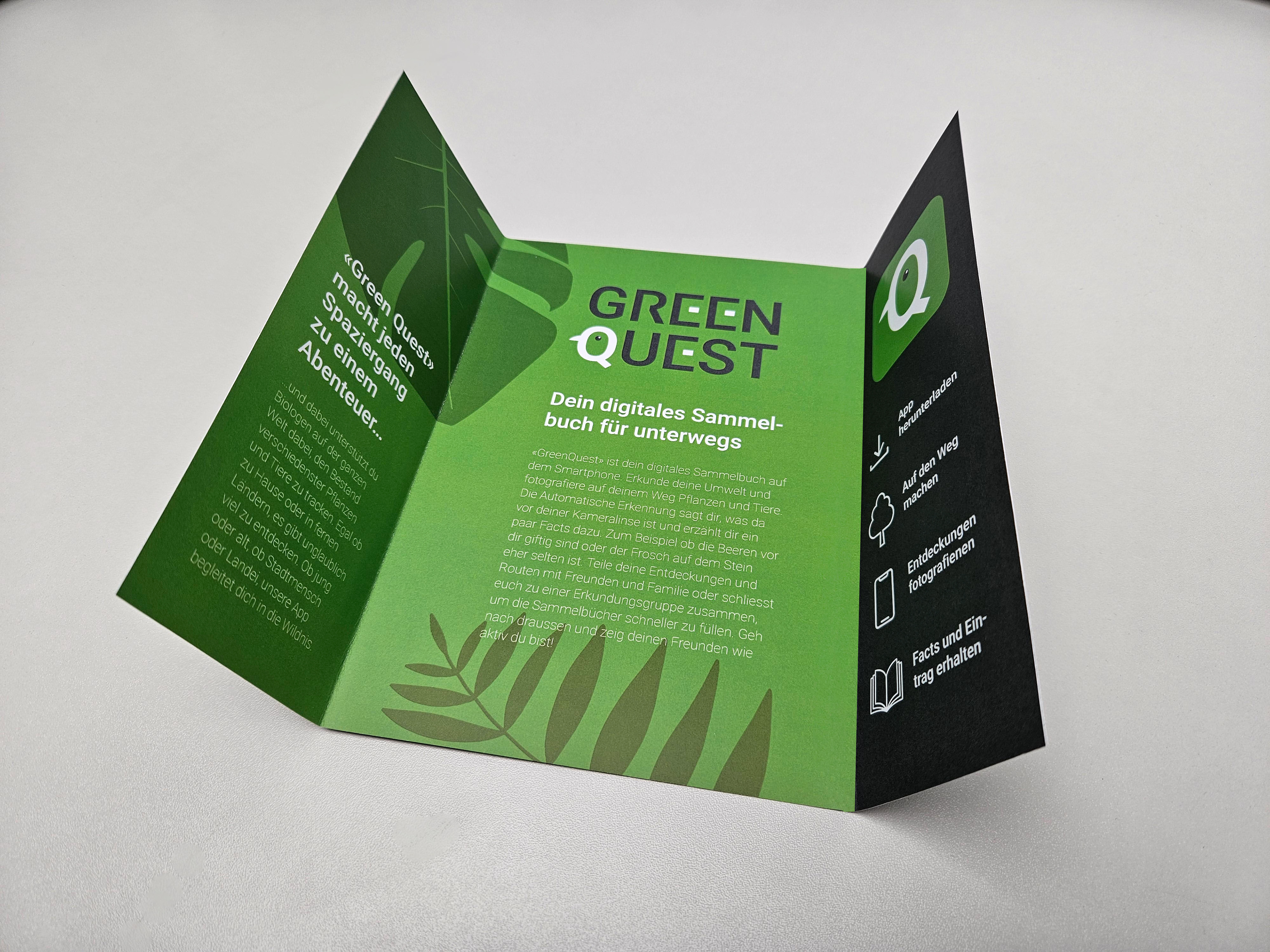Flyer