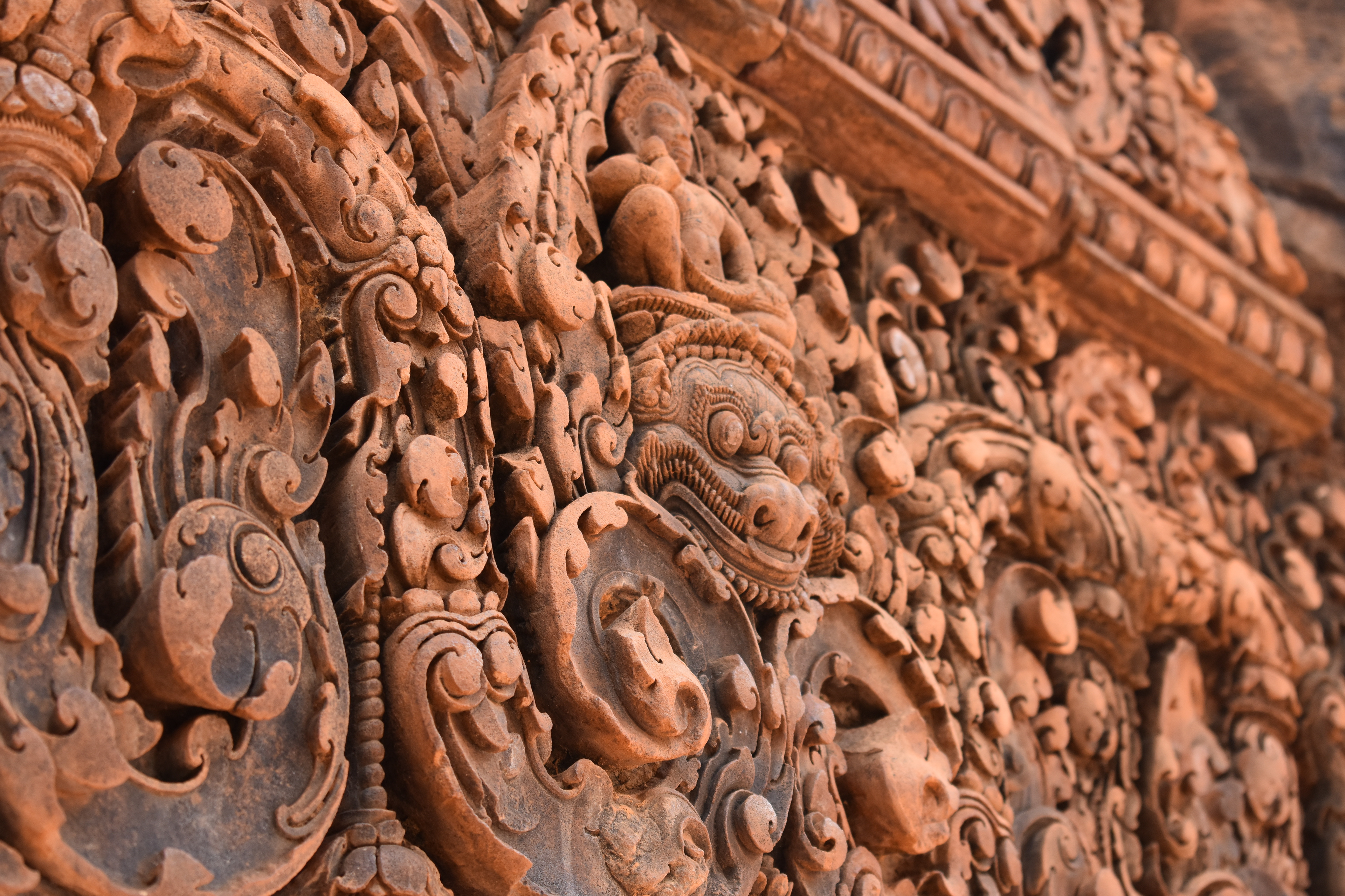 Angkor, Cambodia / Photo by me