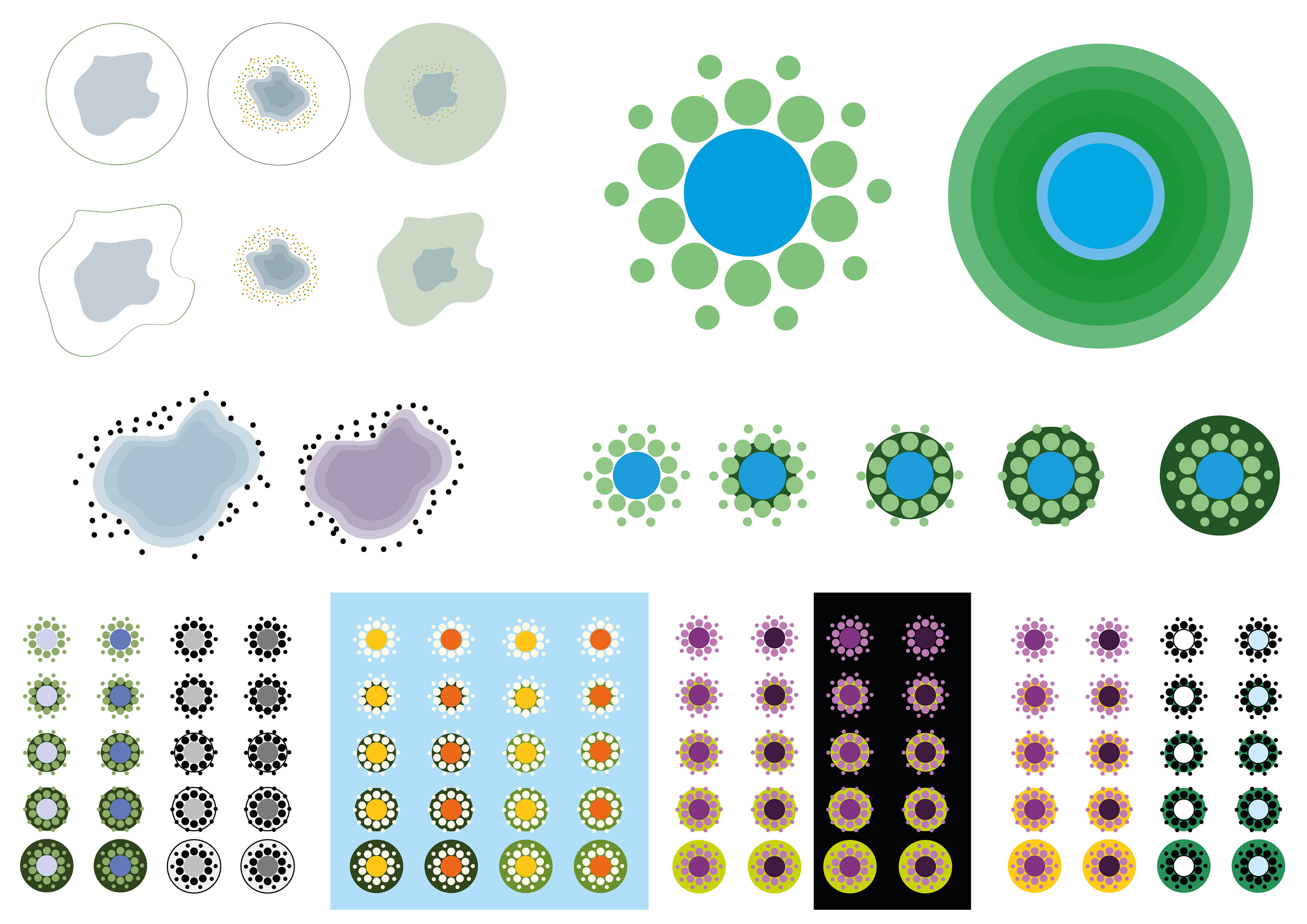 Shapes