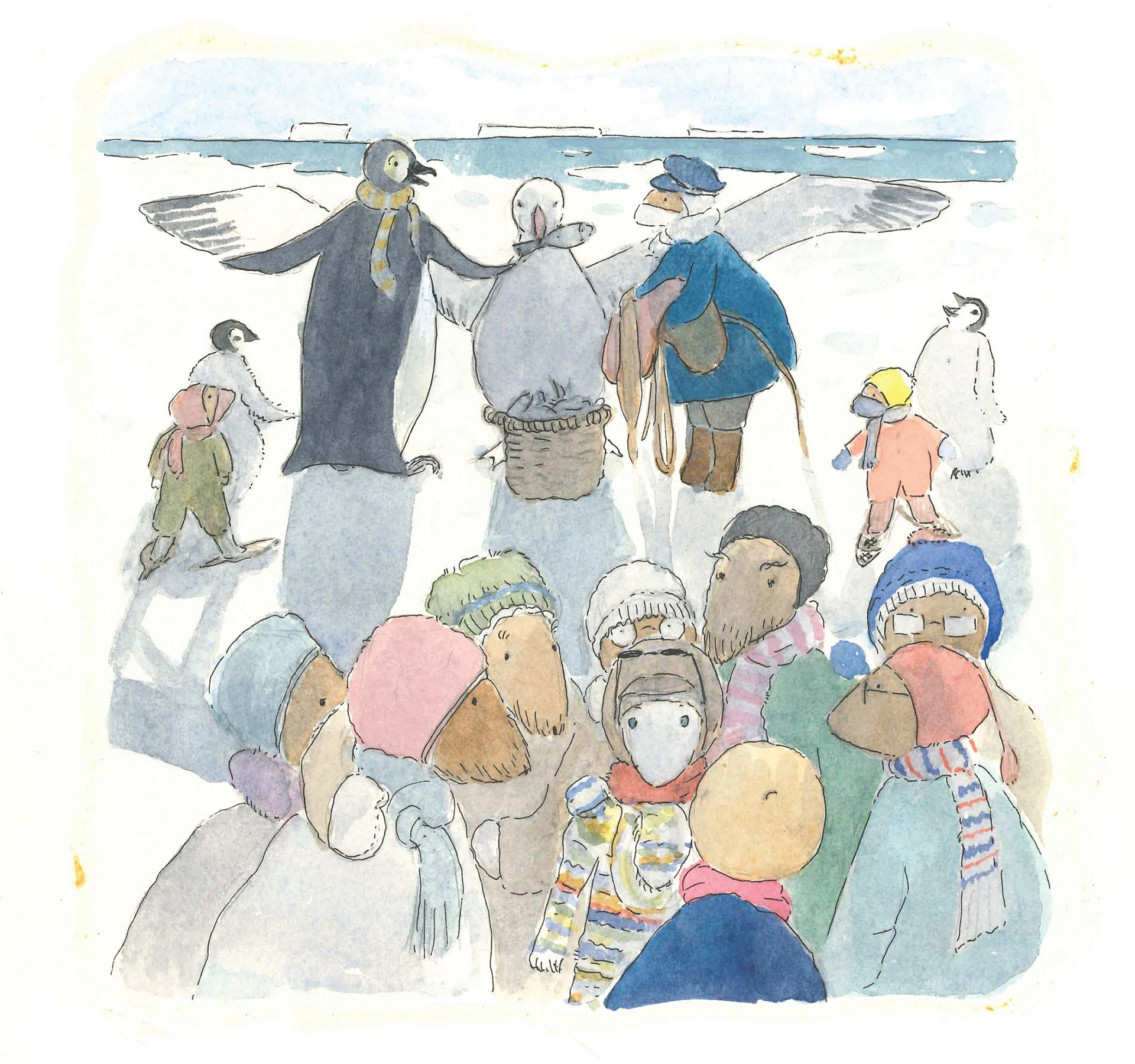 The journey home via albatross