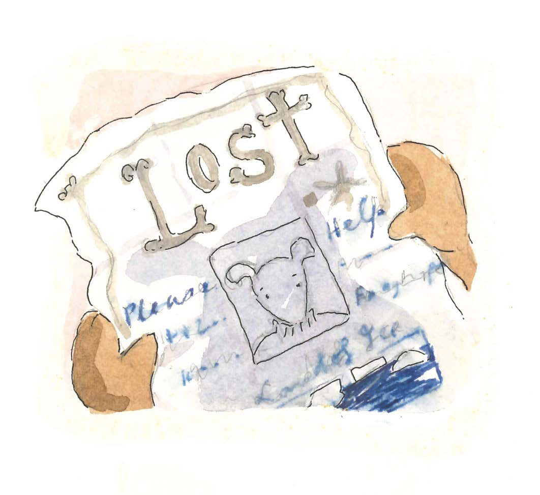 The mysterious message