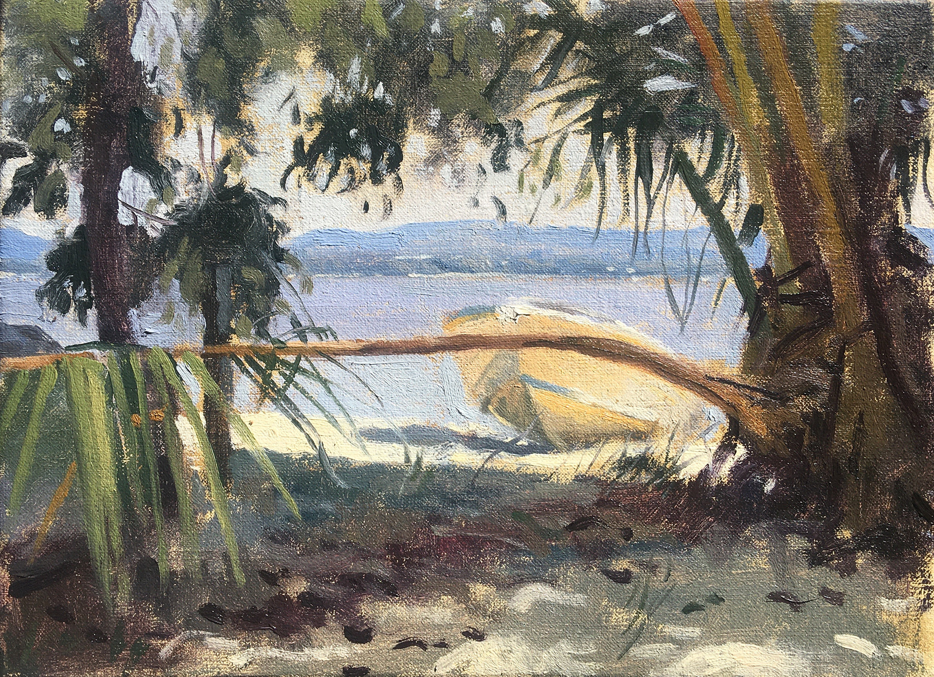 Boat and Palm 2021