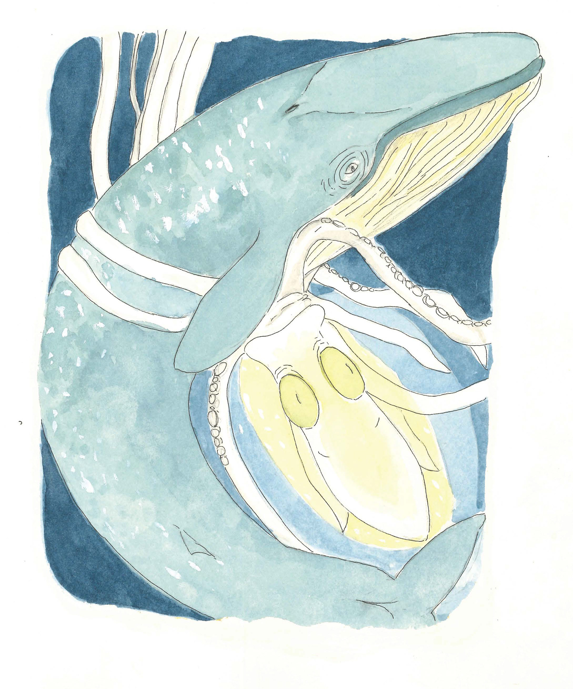 The Great Blue Whale saves the day