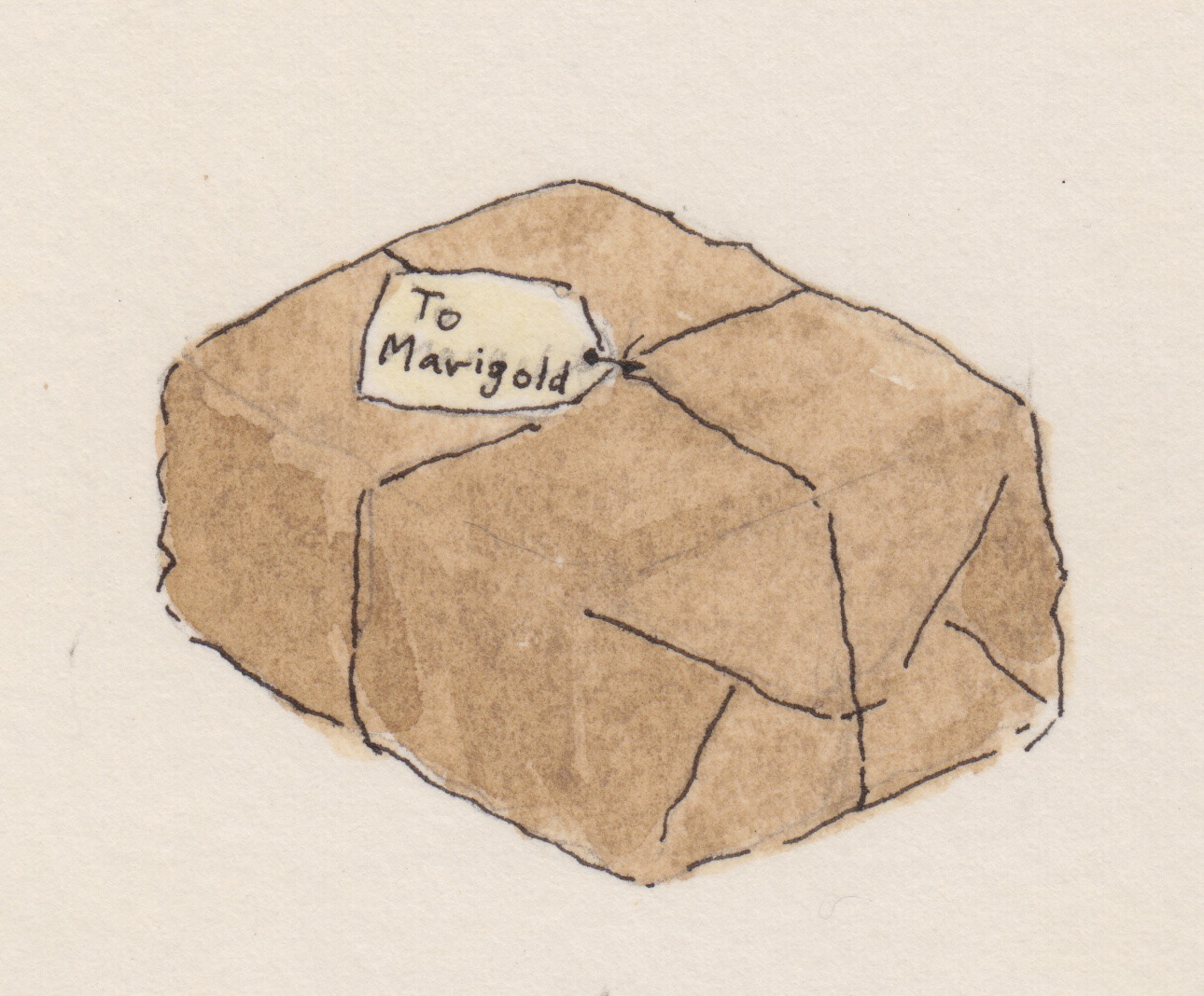 A special package from the Land of Ice