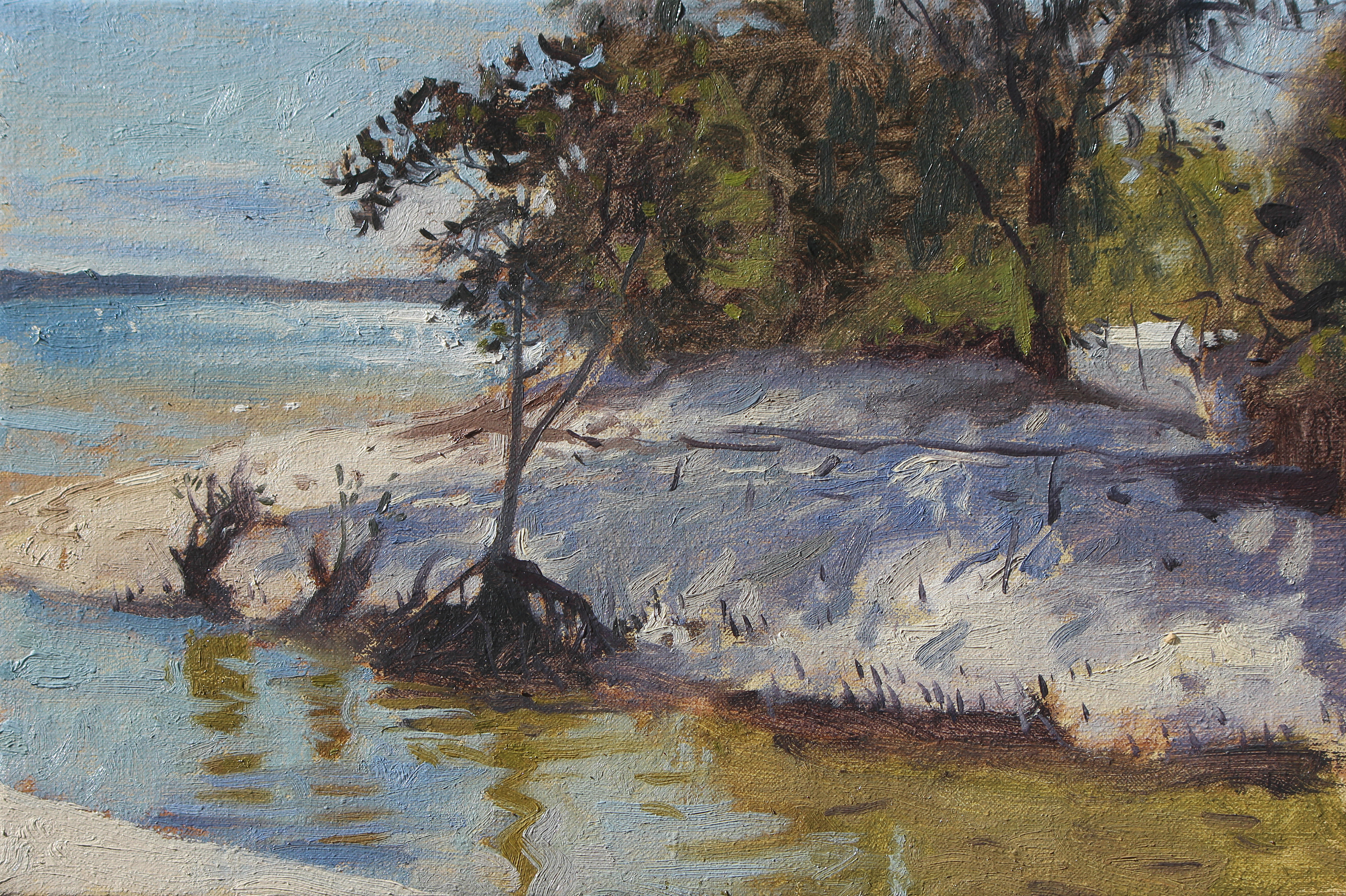 Tidal Swamp 2021