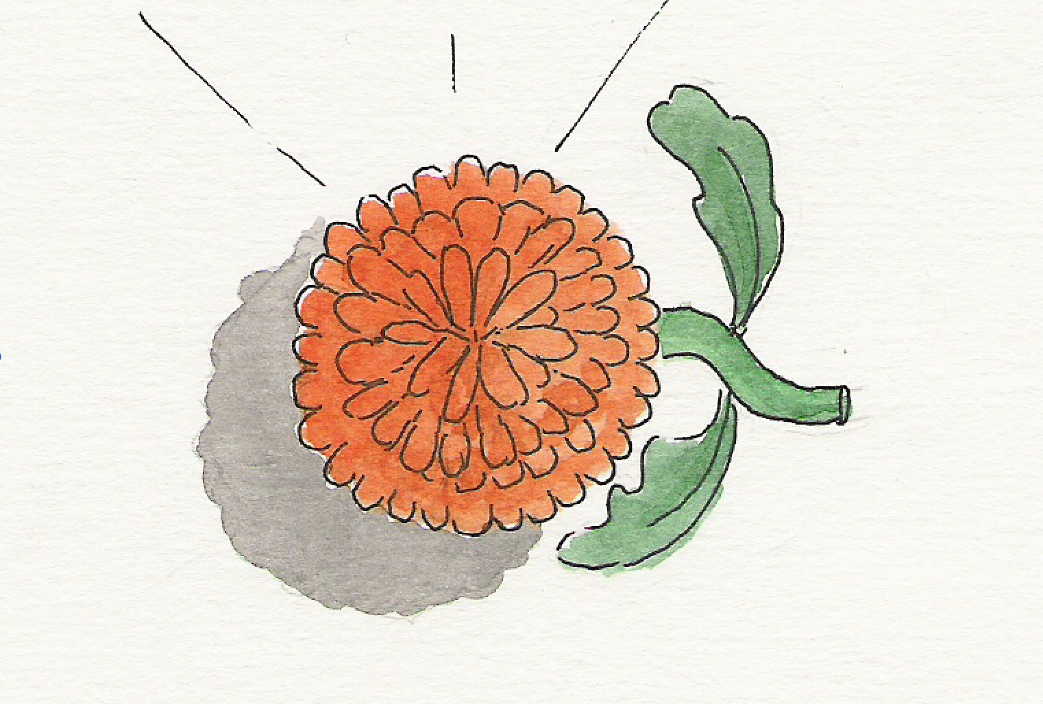 The Marigold symbol to direct the reader to the dictionary at the back of the book