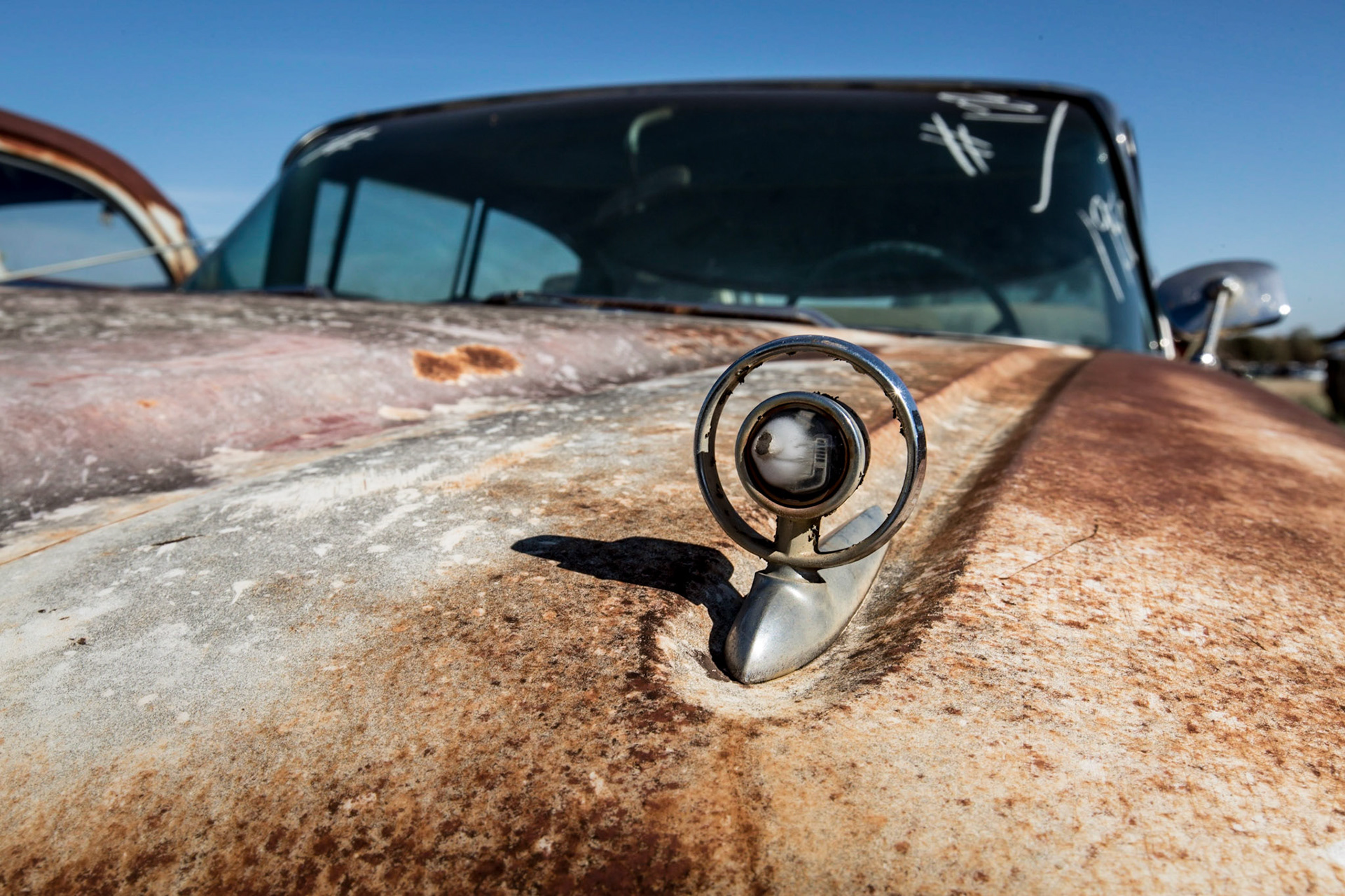 Browne Auto Salvage
