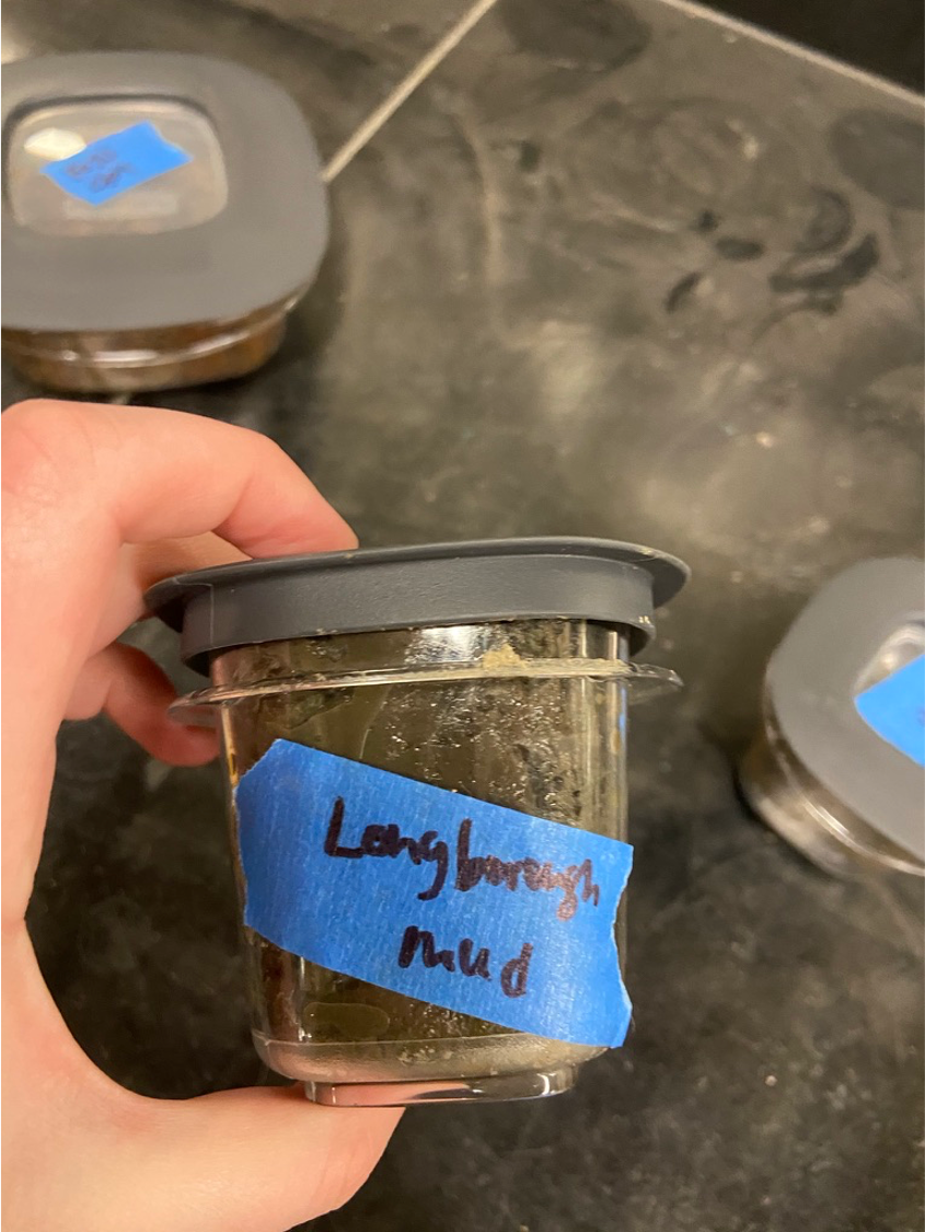 Mud sample before drying.