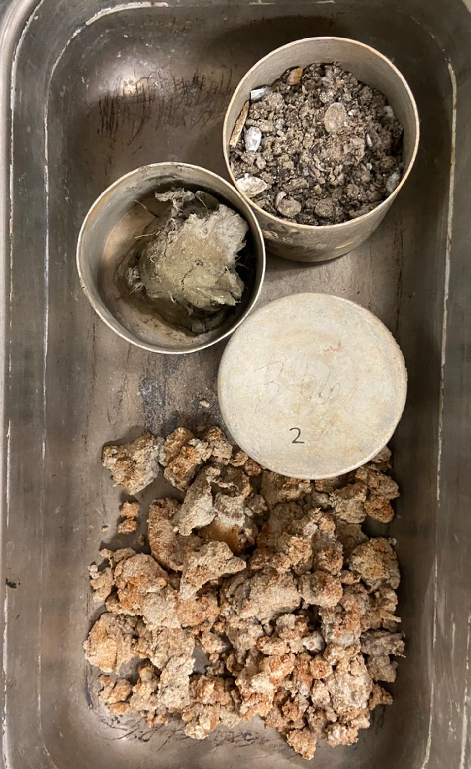 My four samples after drying in the oven for 24 hours.