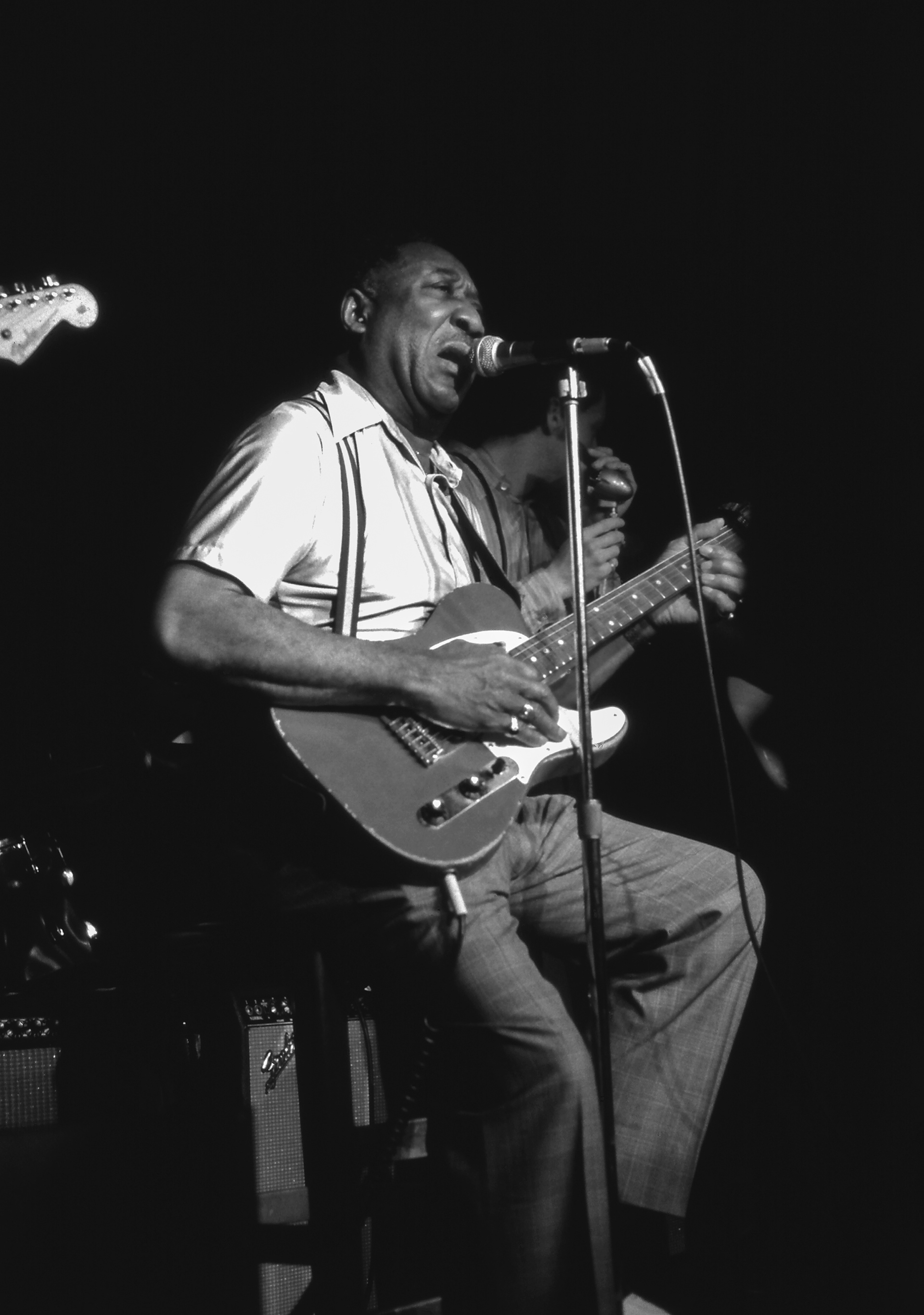 Muddy Waters 1979