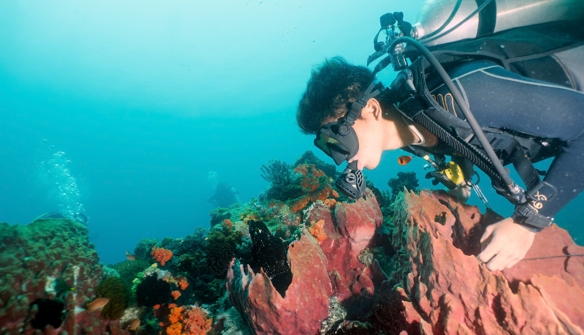 Our dive guide Hizkia finds a Black Frogfish at Bangka Island, Manado.