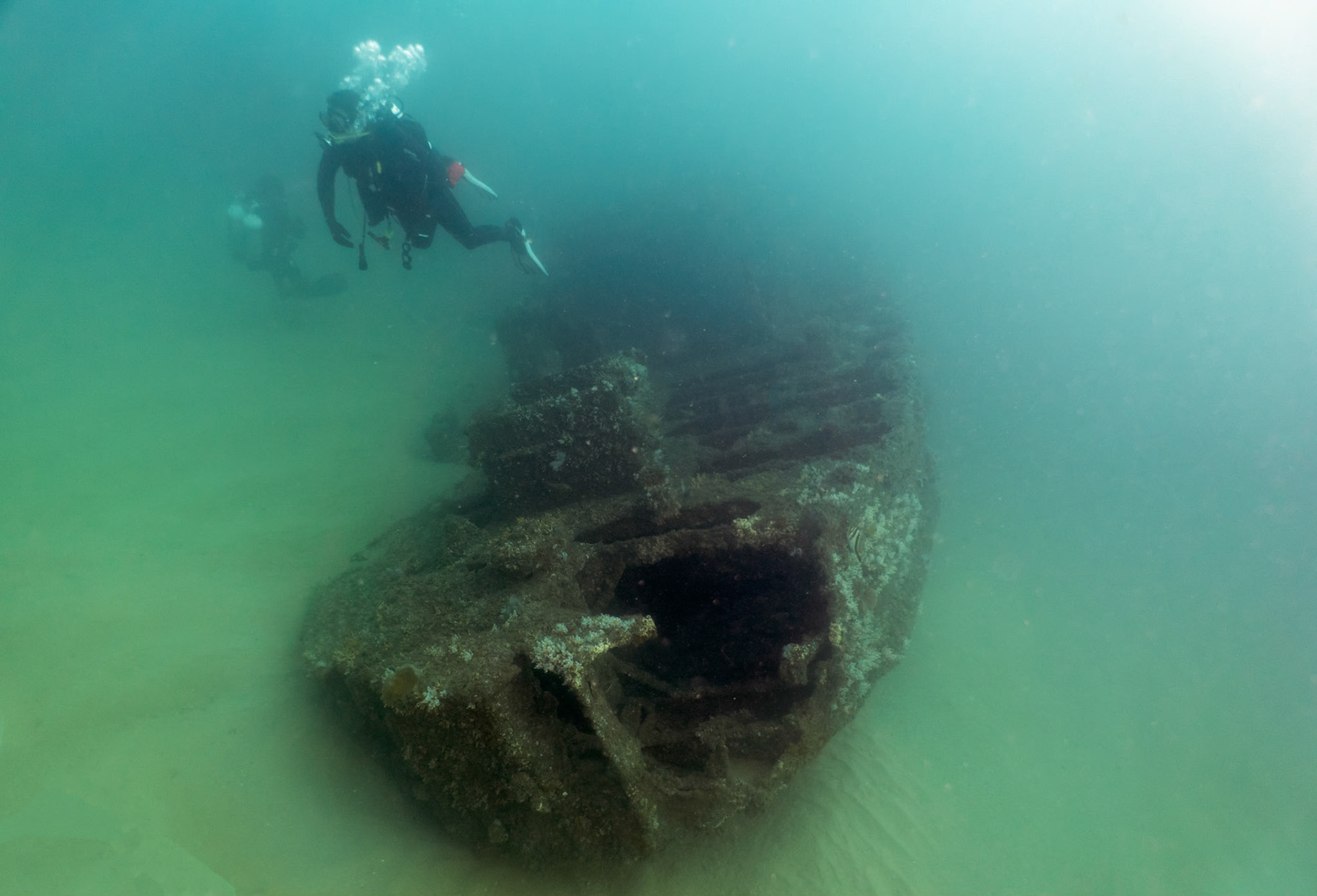 Dived the Valiant today , which is a small tug sunk in 26 metres of water off Barenjoey Head north of Palm Beach.